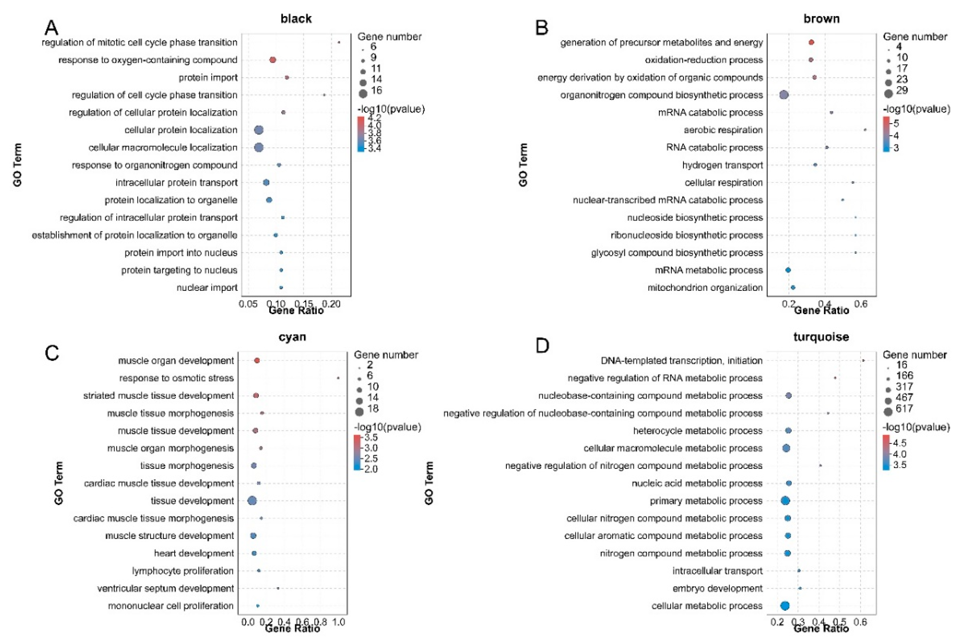 Animals 11 02311 g004