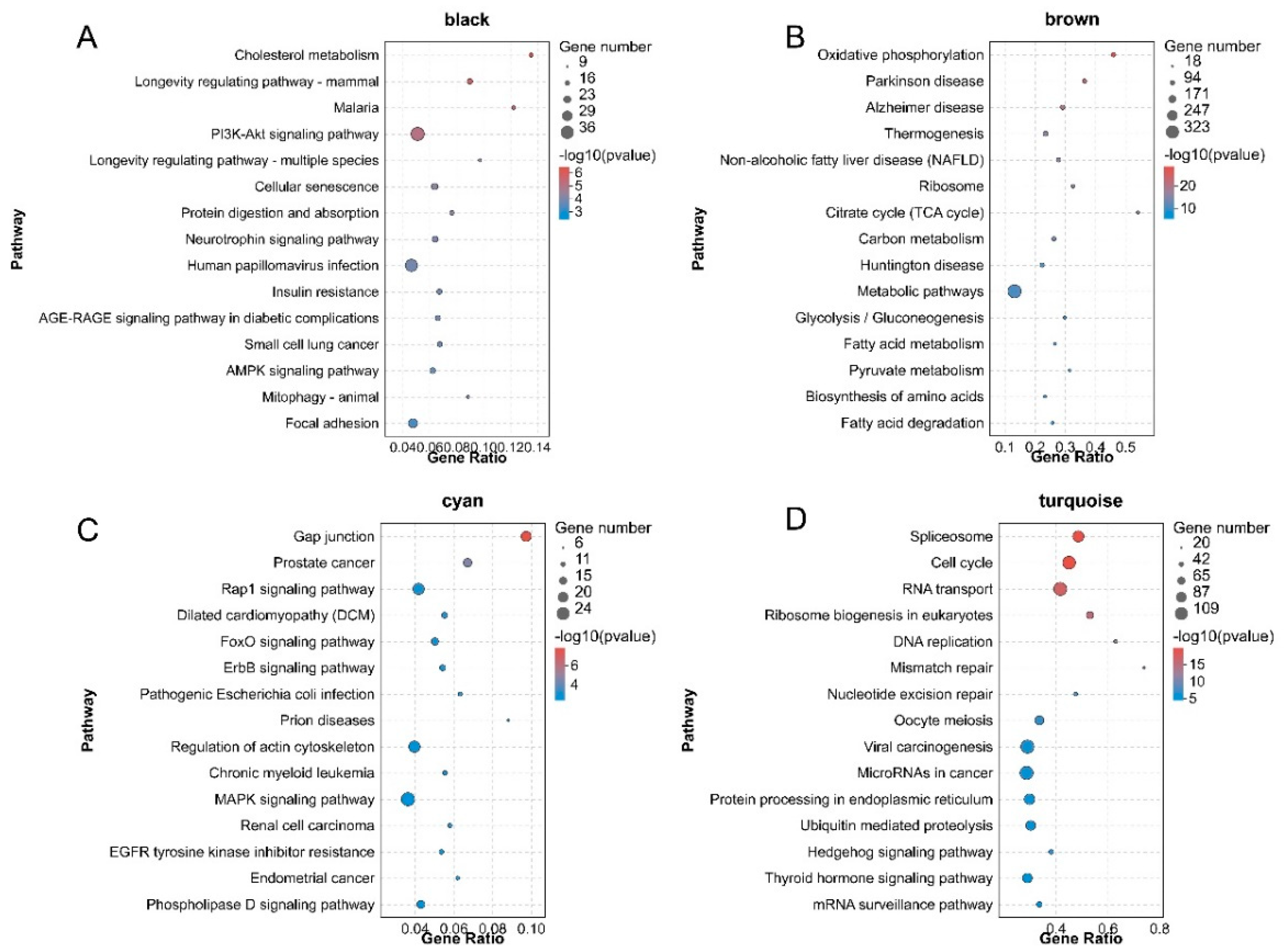 Animals 11 02311 g005
