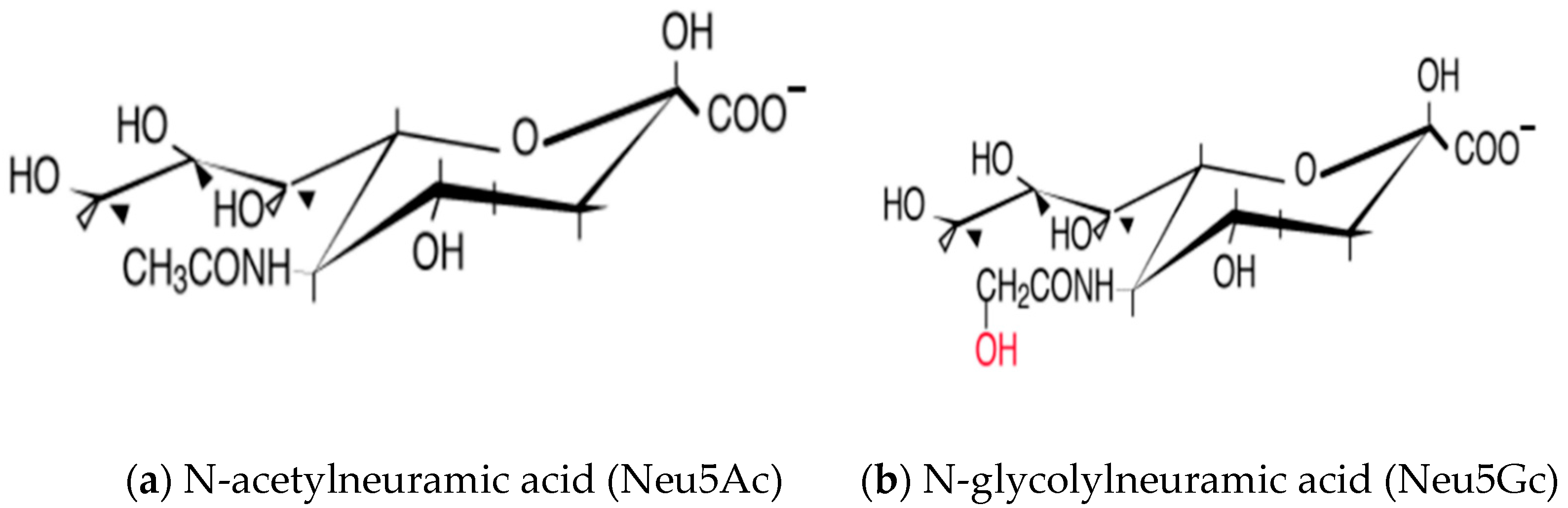 Animals 11 02318 g001a