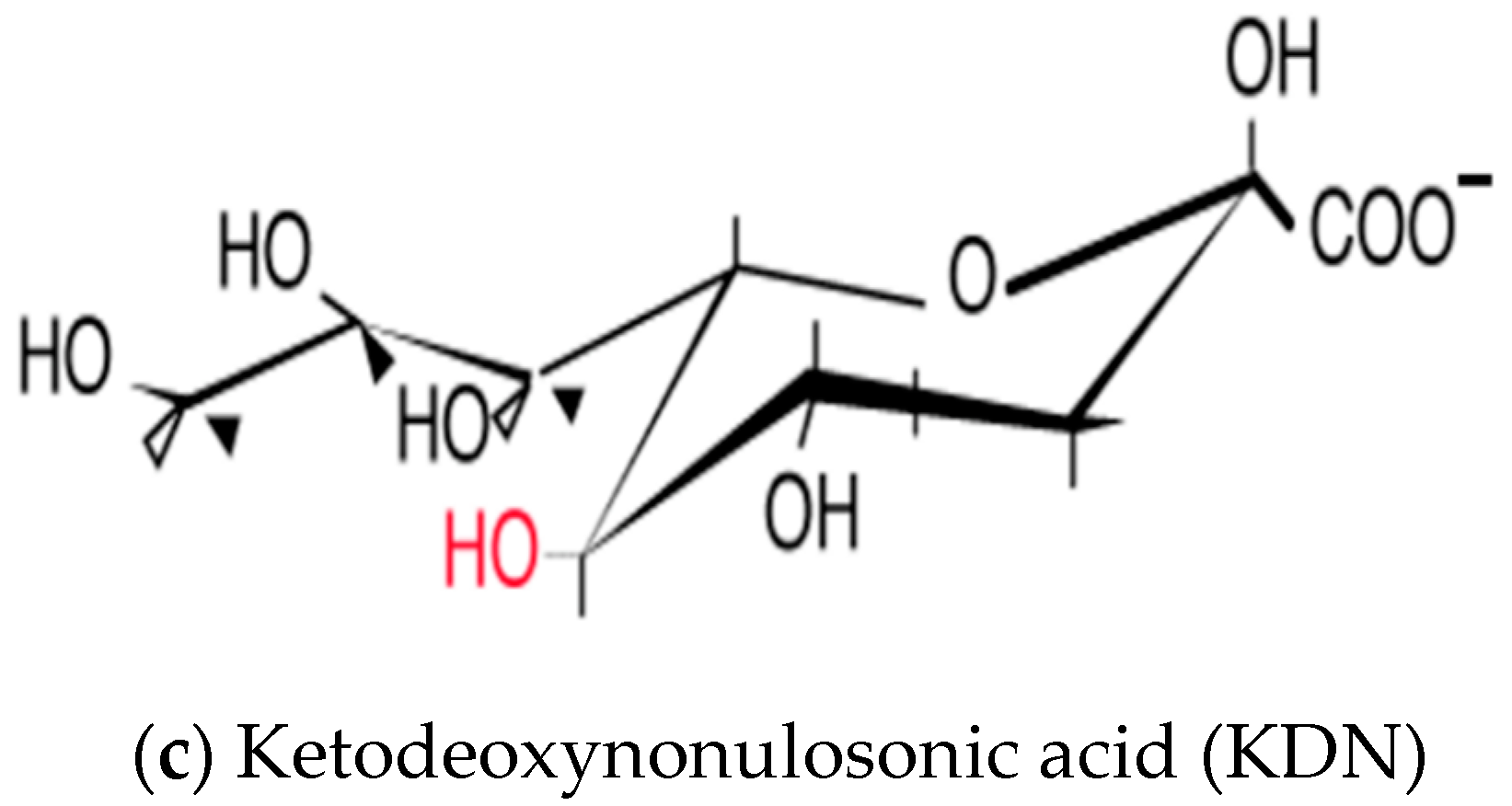 Animals 11 02318 g001b