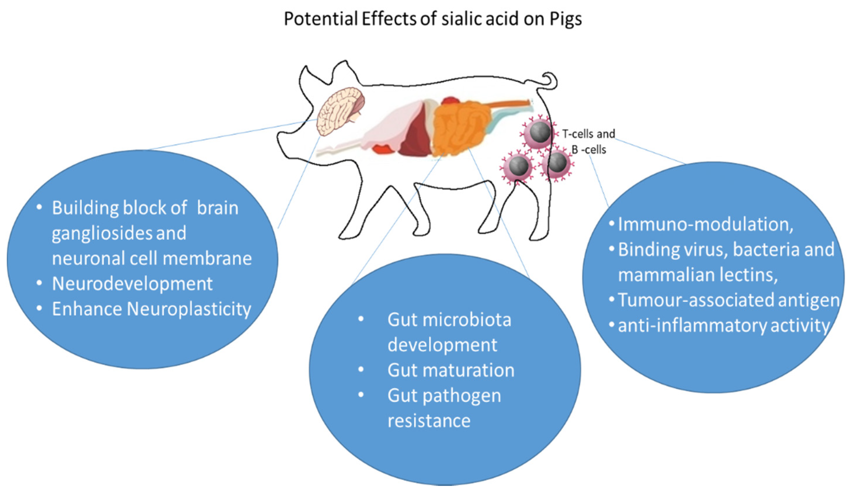 Animals 11 02318 g002