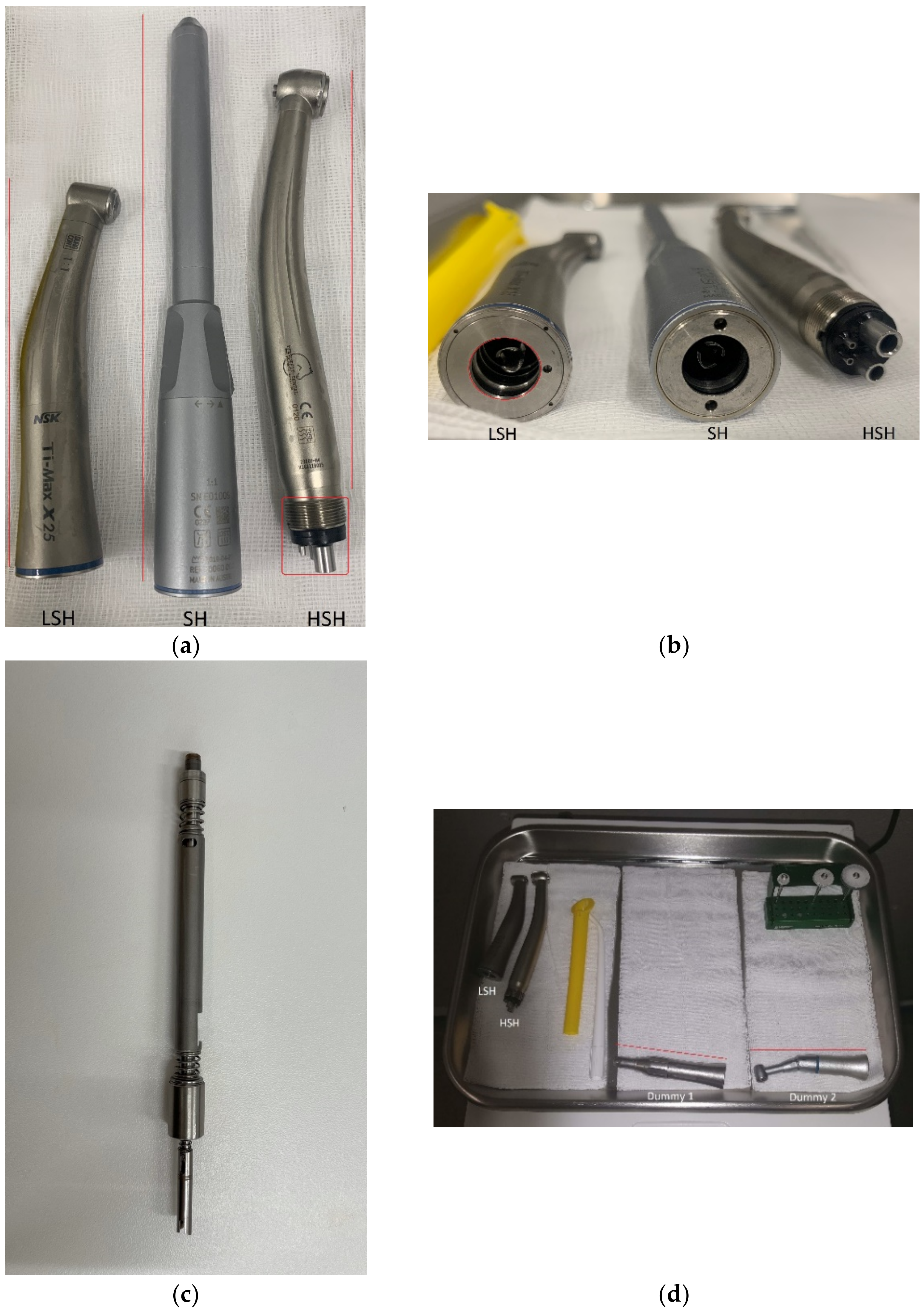 Animals 11 02320 g001