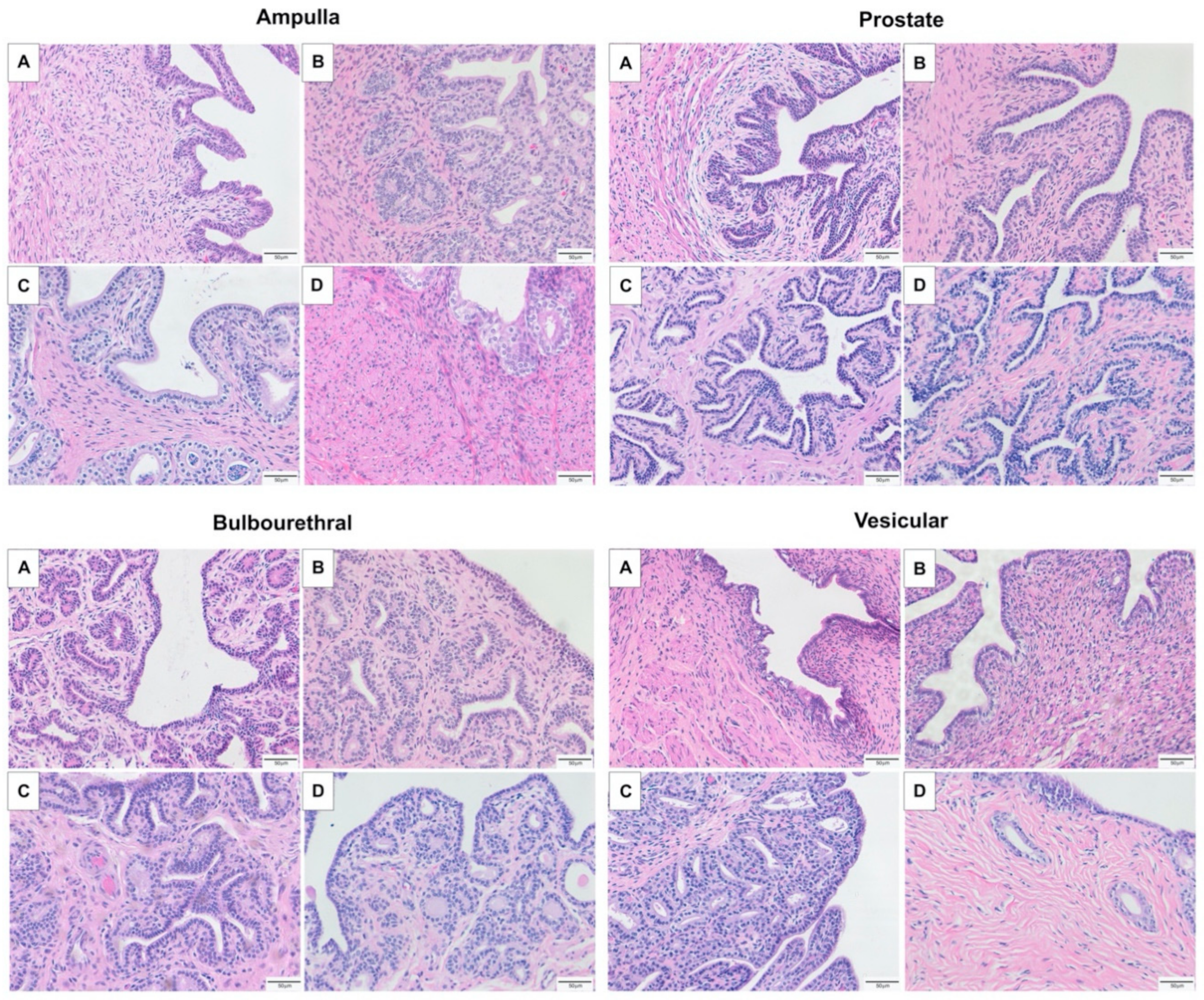 Animals 11 02322 g001 Animals 11 02322 g001