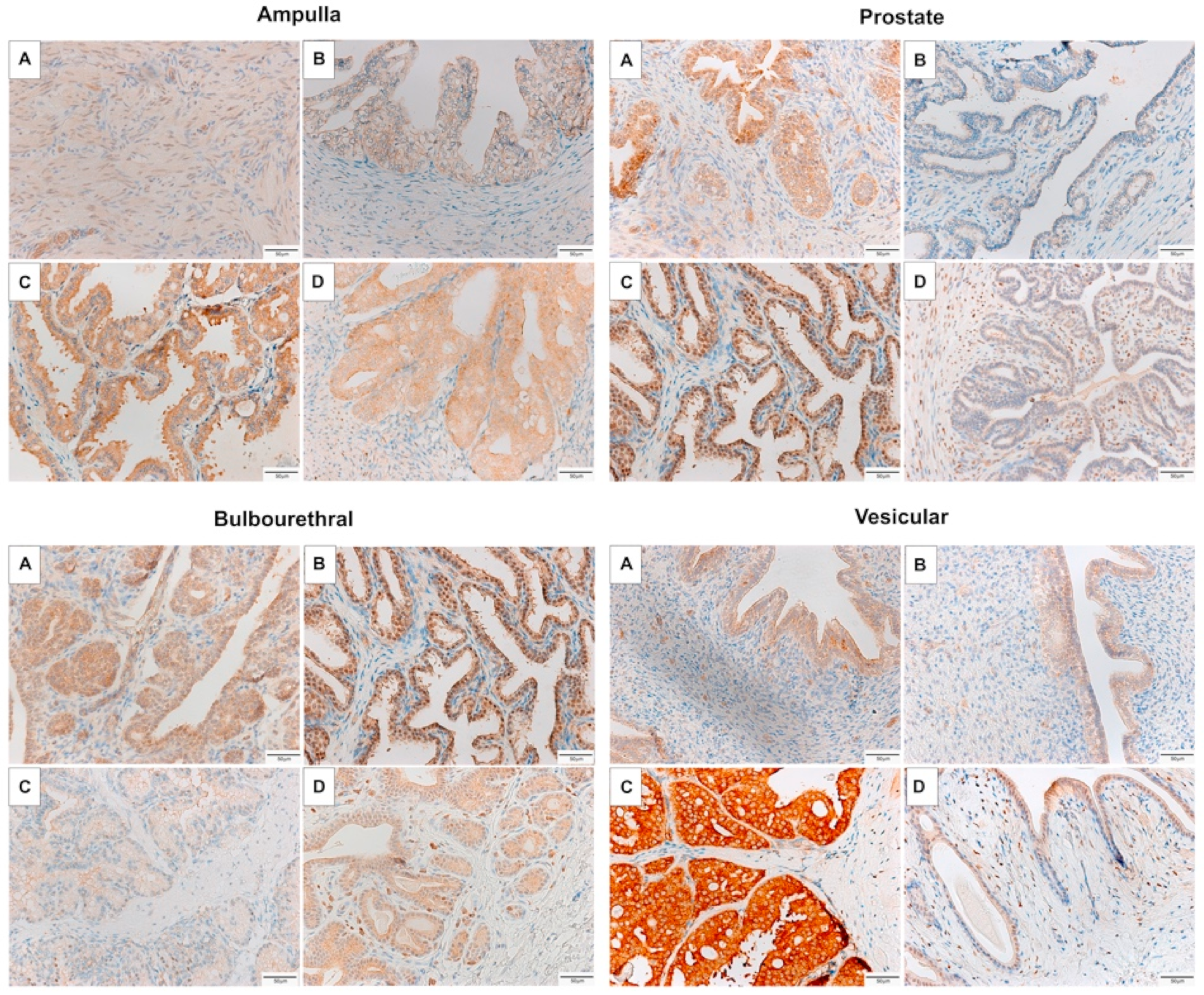 Animals 11 02322 g005 Animals 11 02322 g005