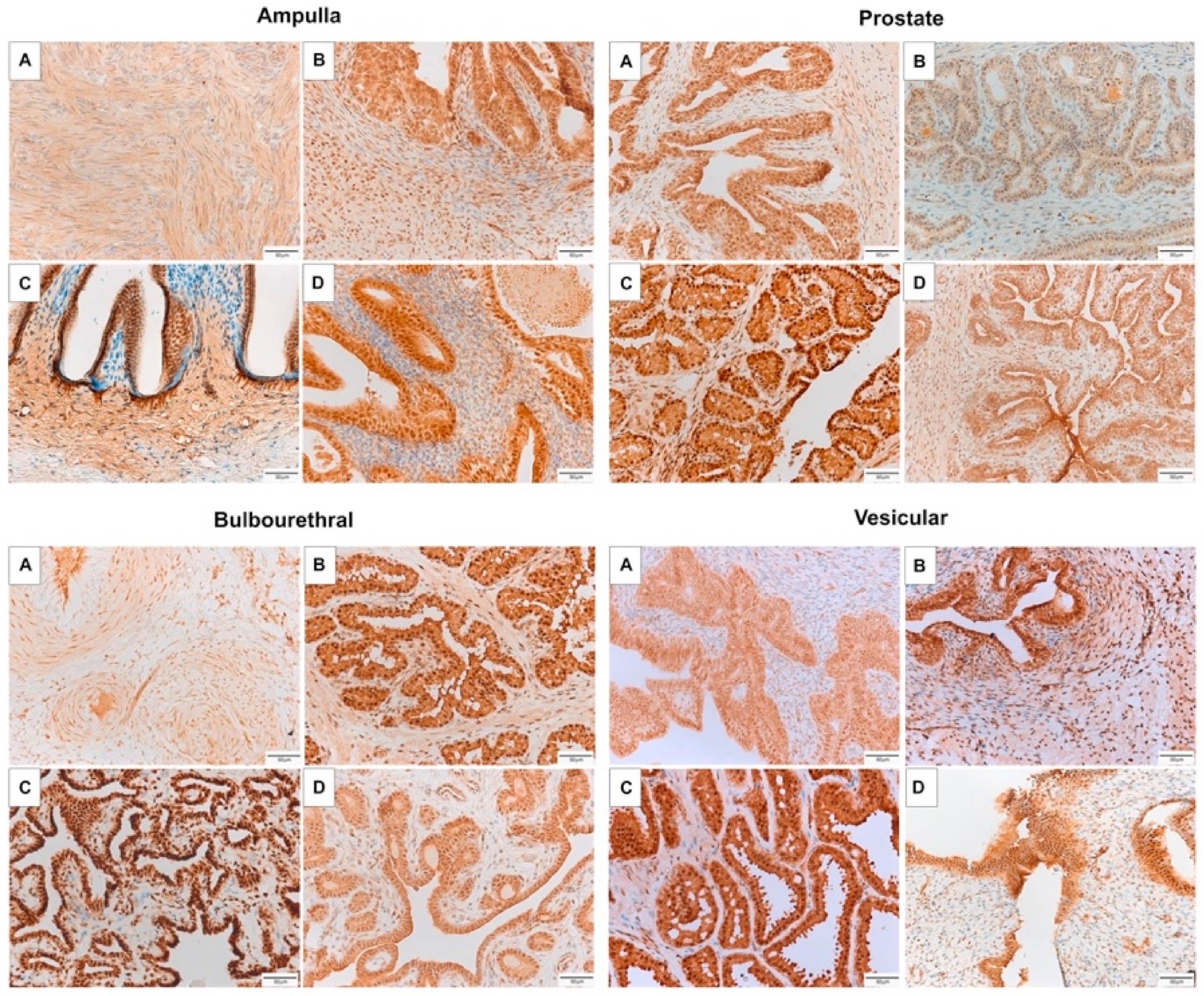 Animals 11 02322 g006 Animals 11 02322 g006