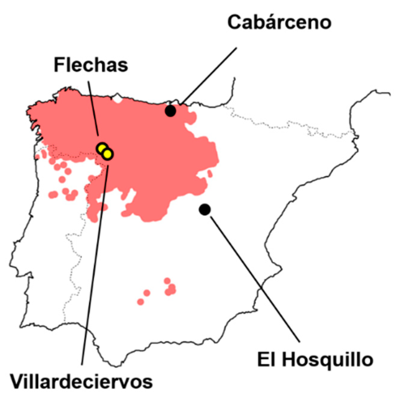 Animals 11 02323 g002