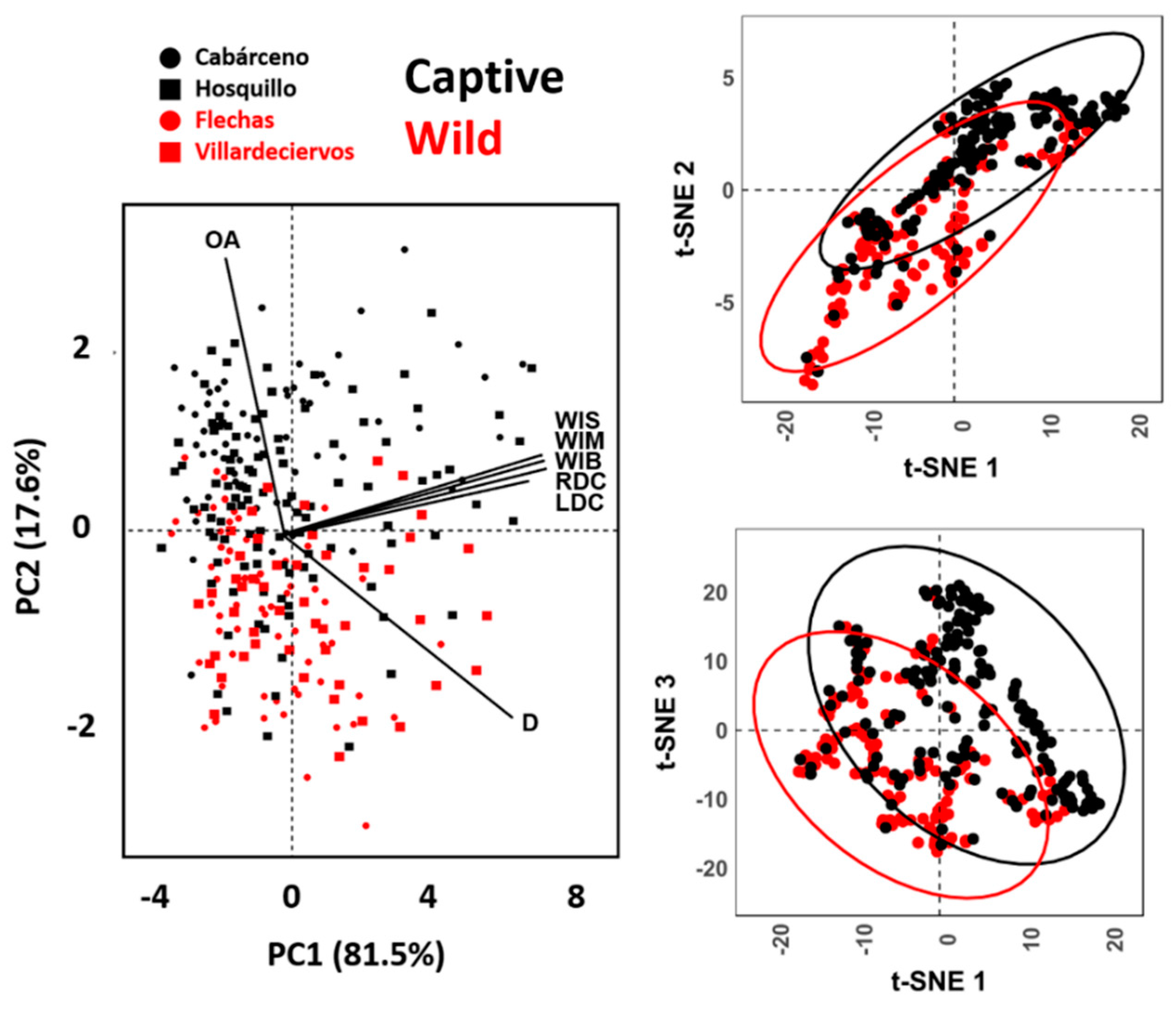 Animals 11 02323 g004