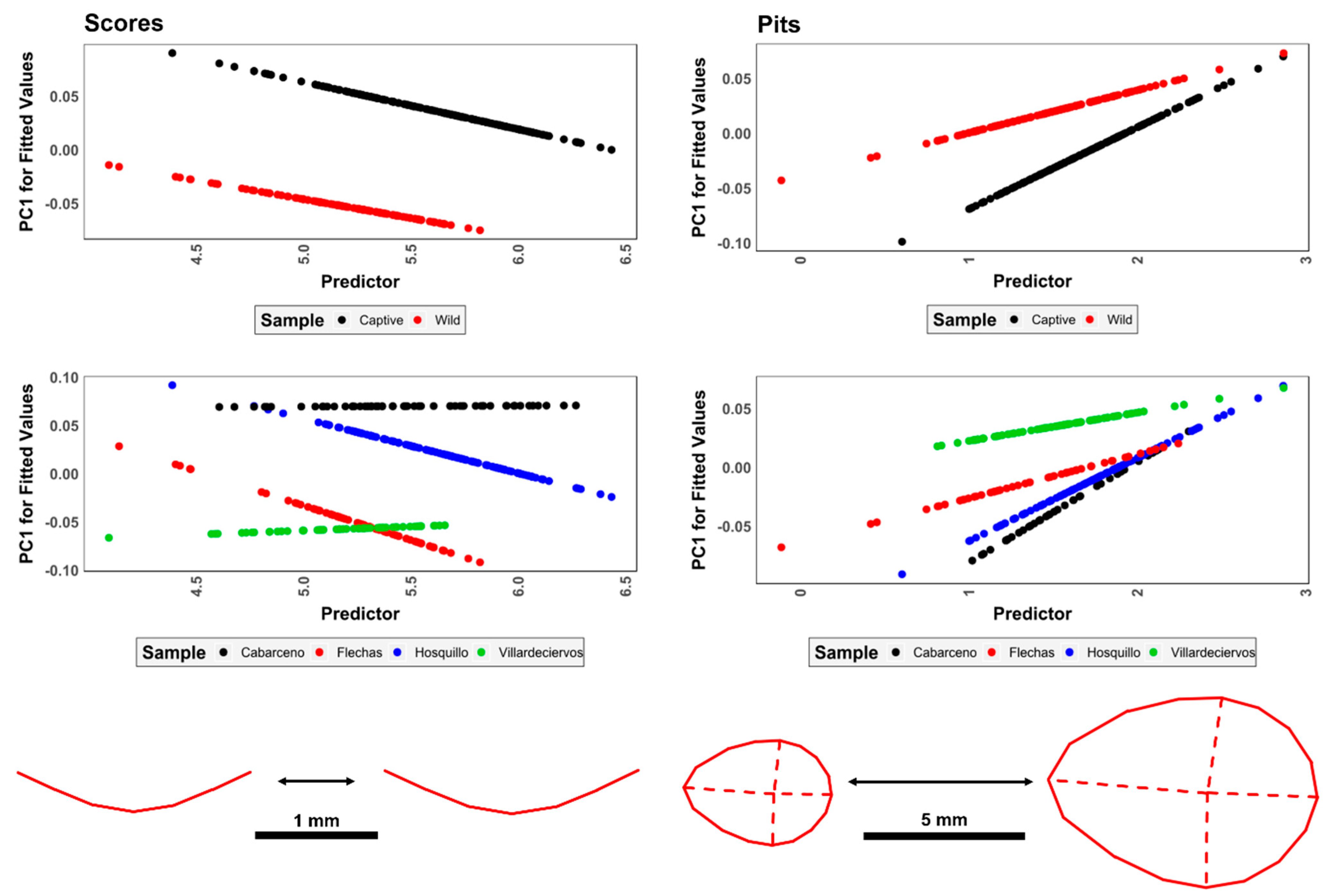 Animals 11 02323 g005