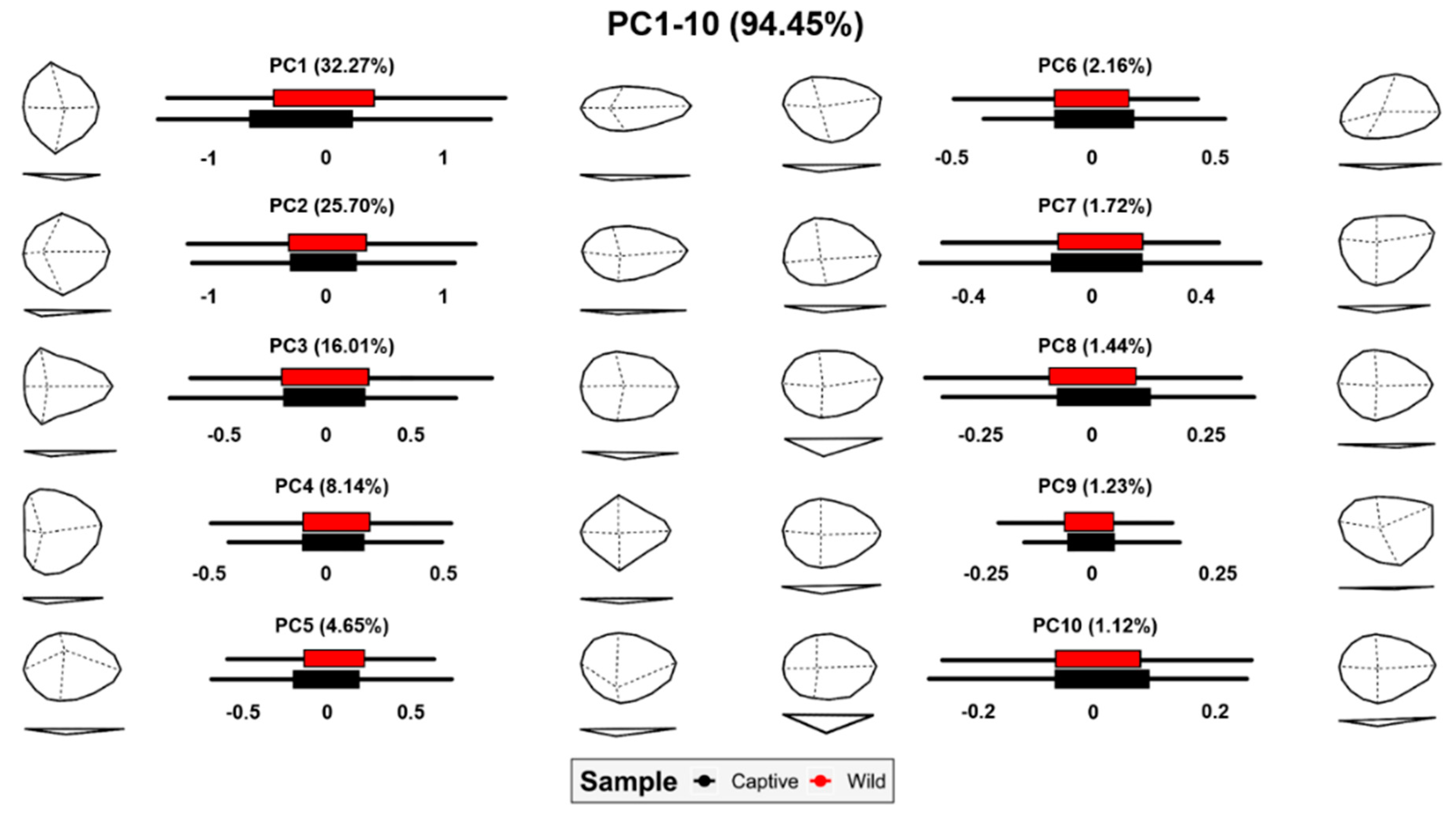 Animals 11 02323 g008