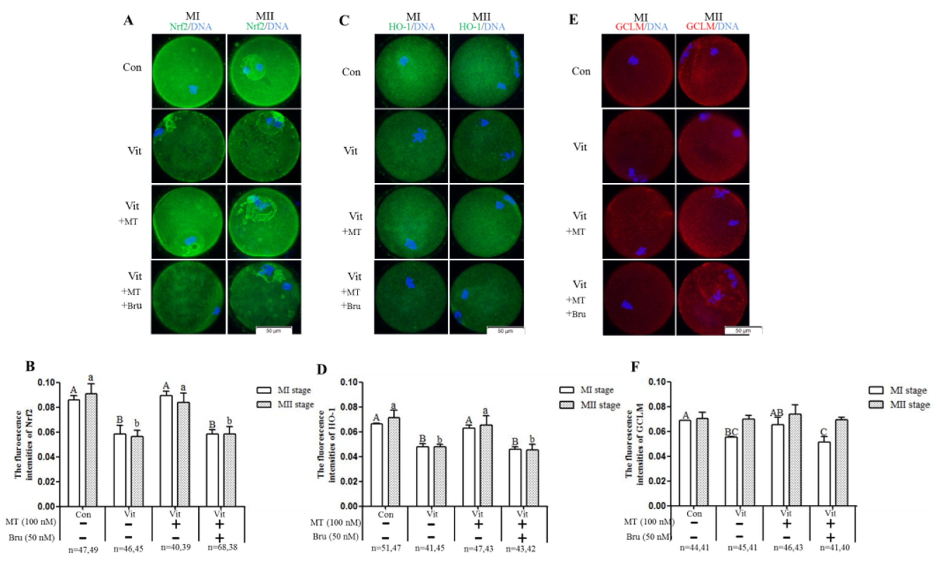 Animals 11 02324 g008 550