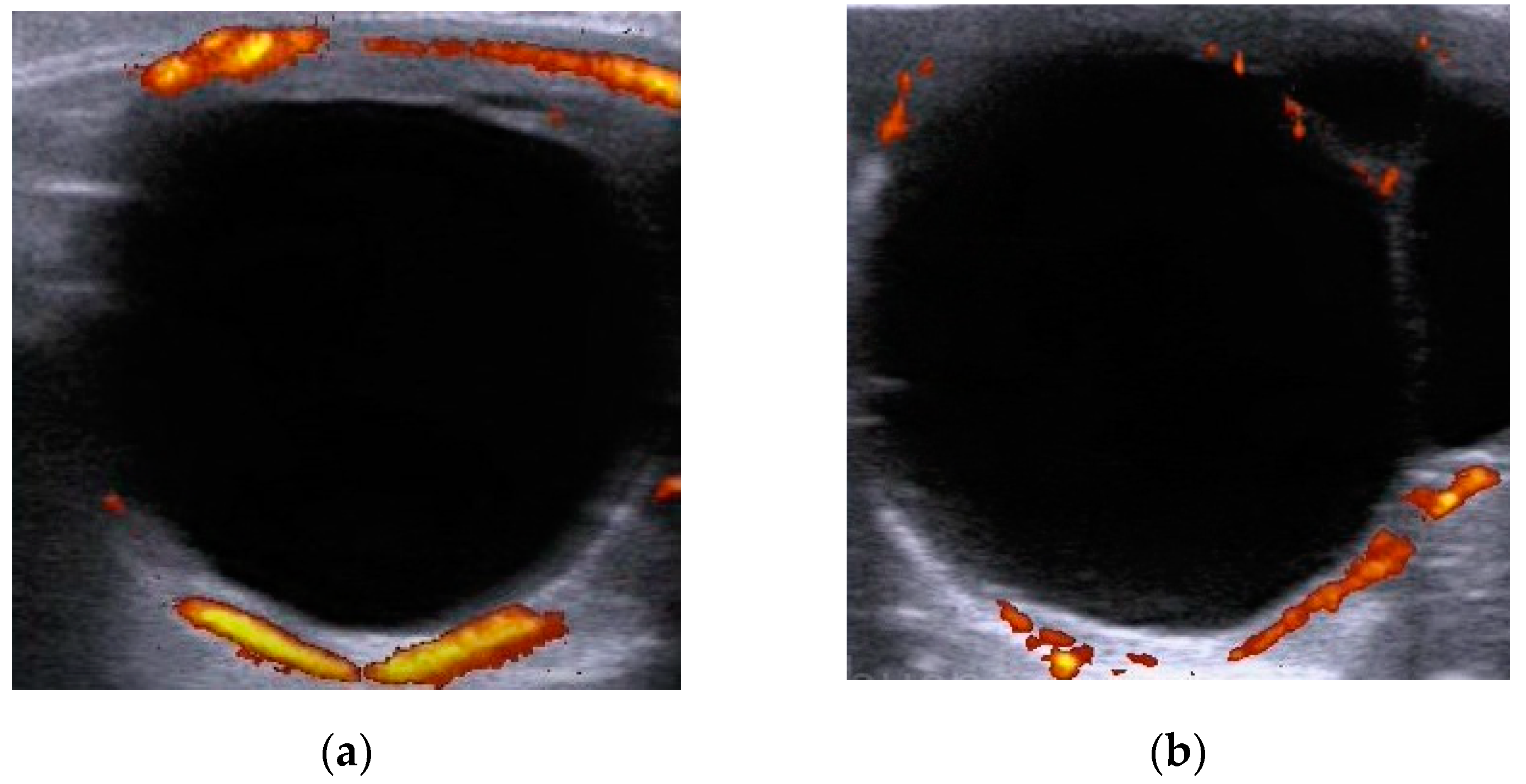 Animals 11 02339 g001 Animals 11 02339 g001