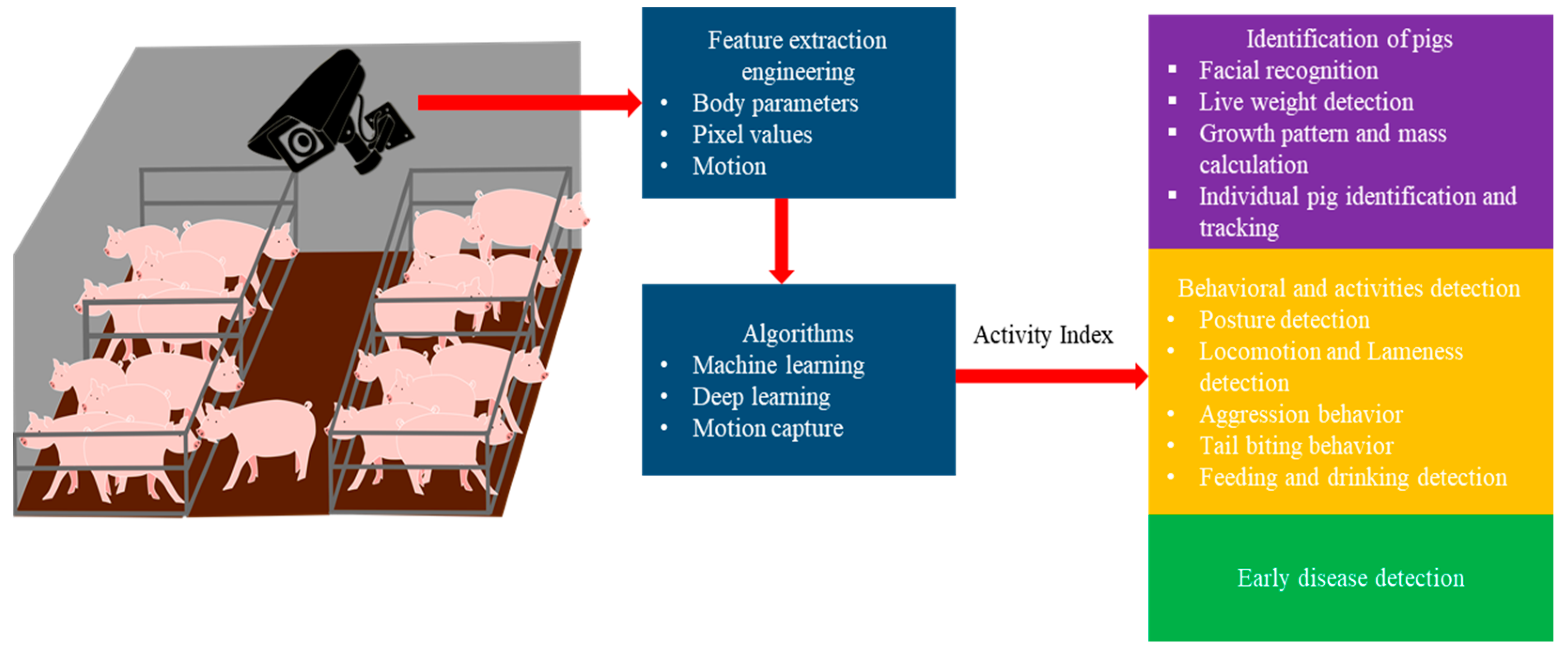 Animals 11 02343 g001