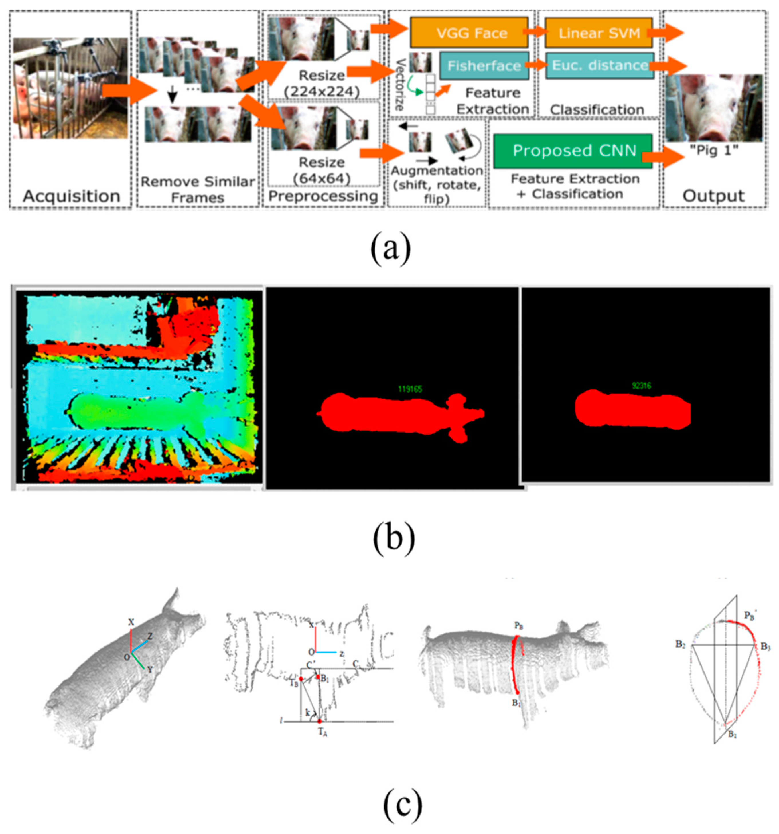 Animals 11 02343 g002