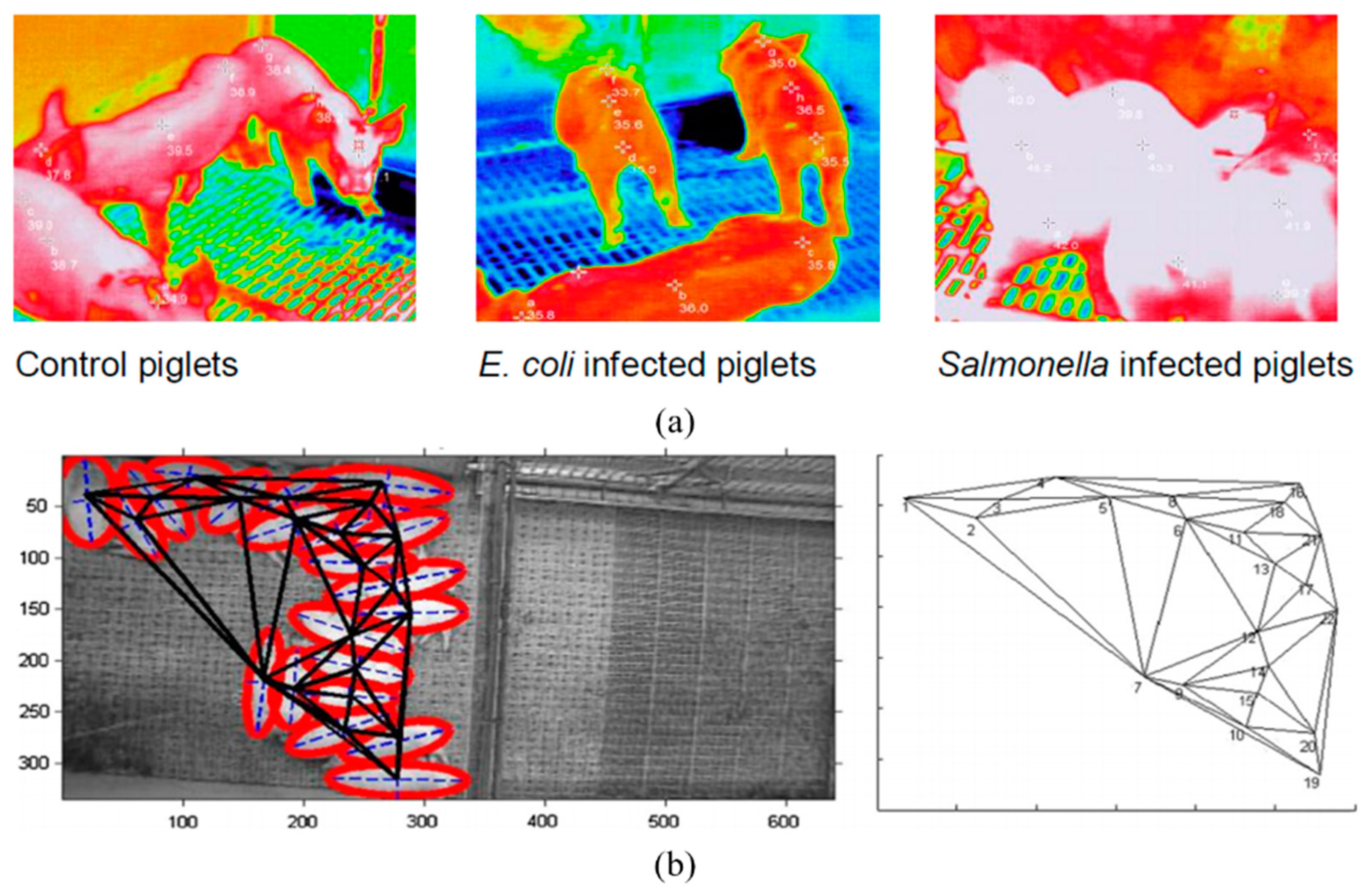 Animals 11 02343 g004