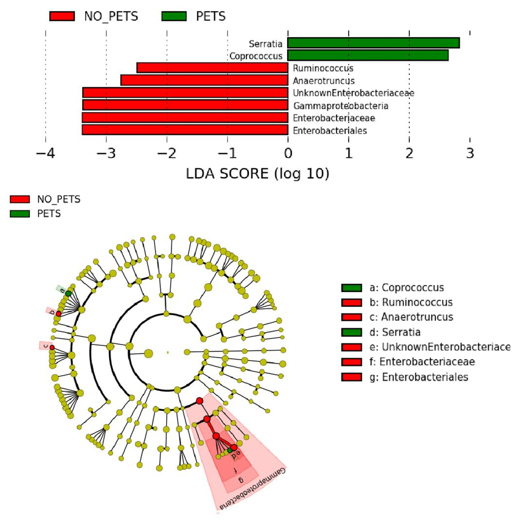 Animals 11 02347 g002