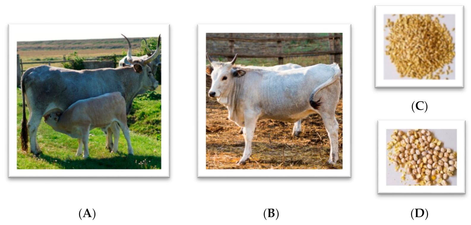 Animals 11 02353 g001 Animals 11 02353 g001