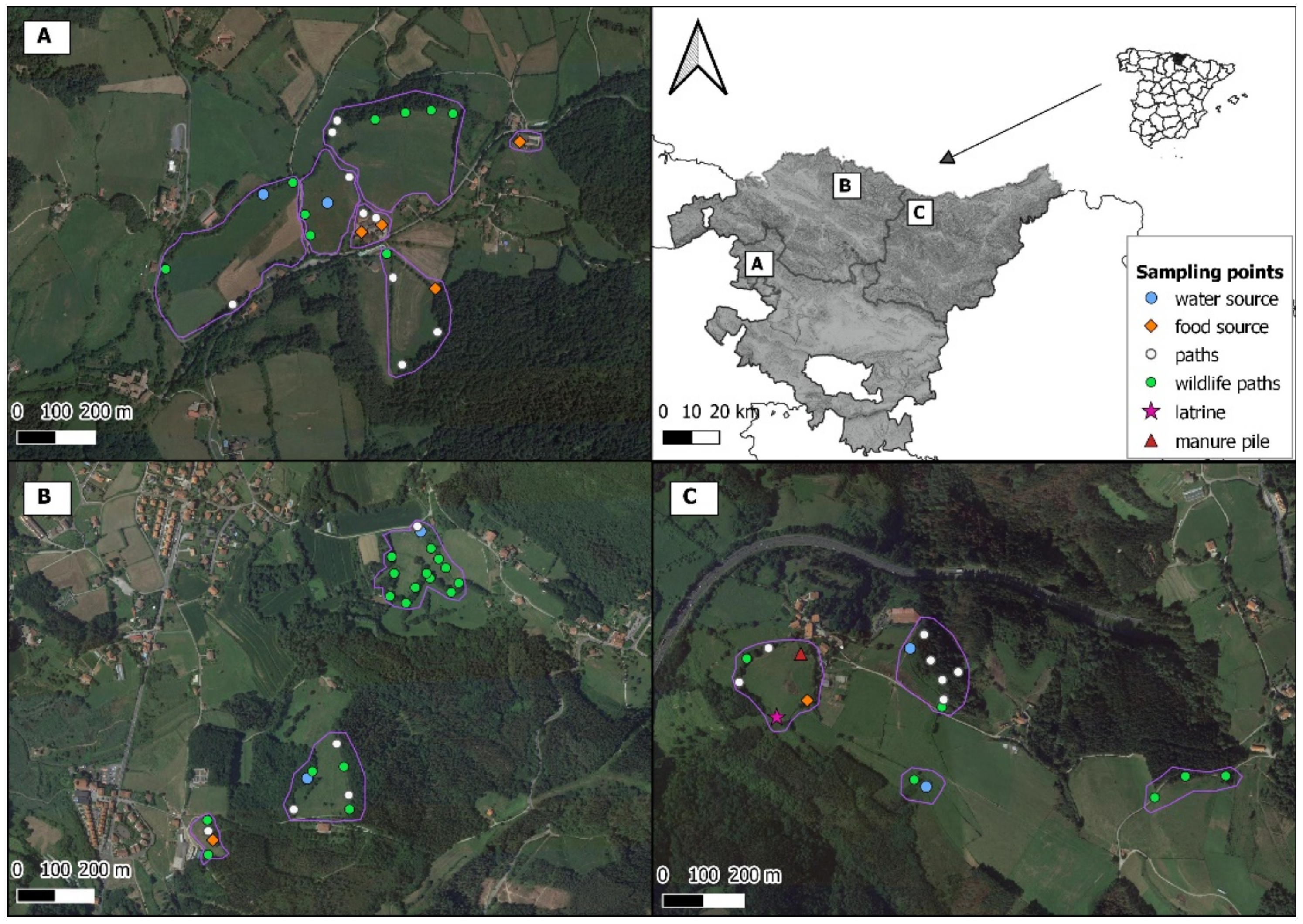 Animals 11 02364 g001