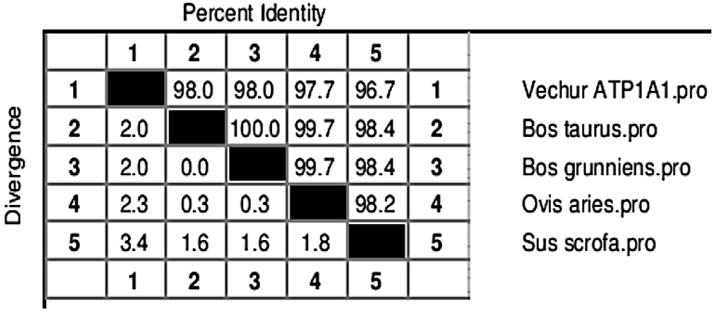 Animals 11 02368 g005 Animals 11 02368 g005