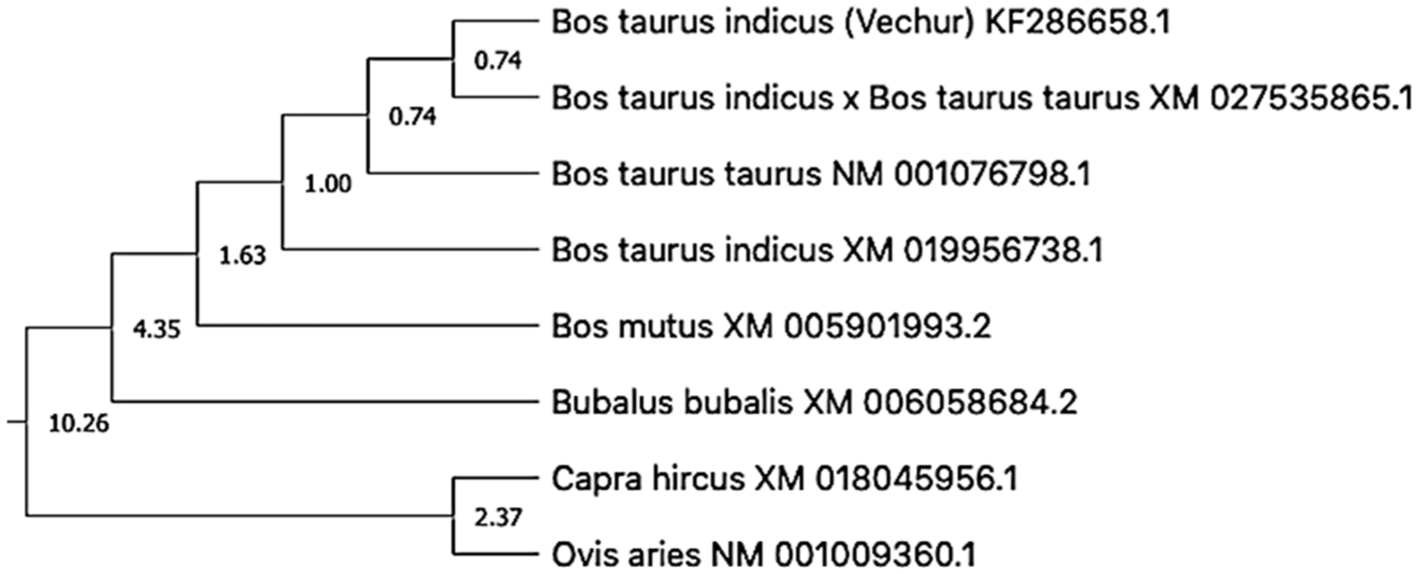 Animals 11 02368 g006 Animals 11 02368 g006