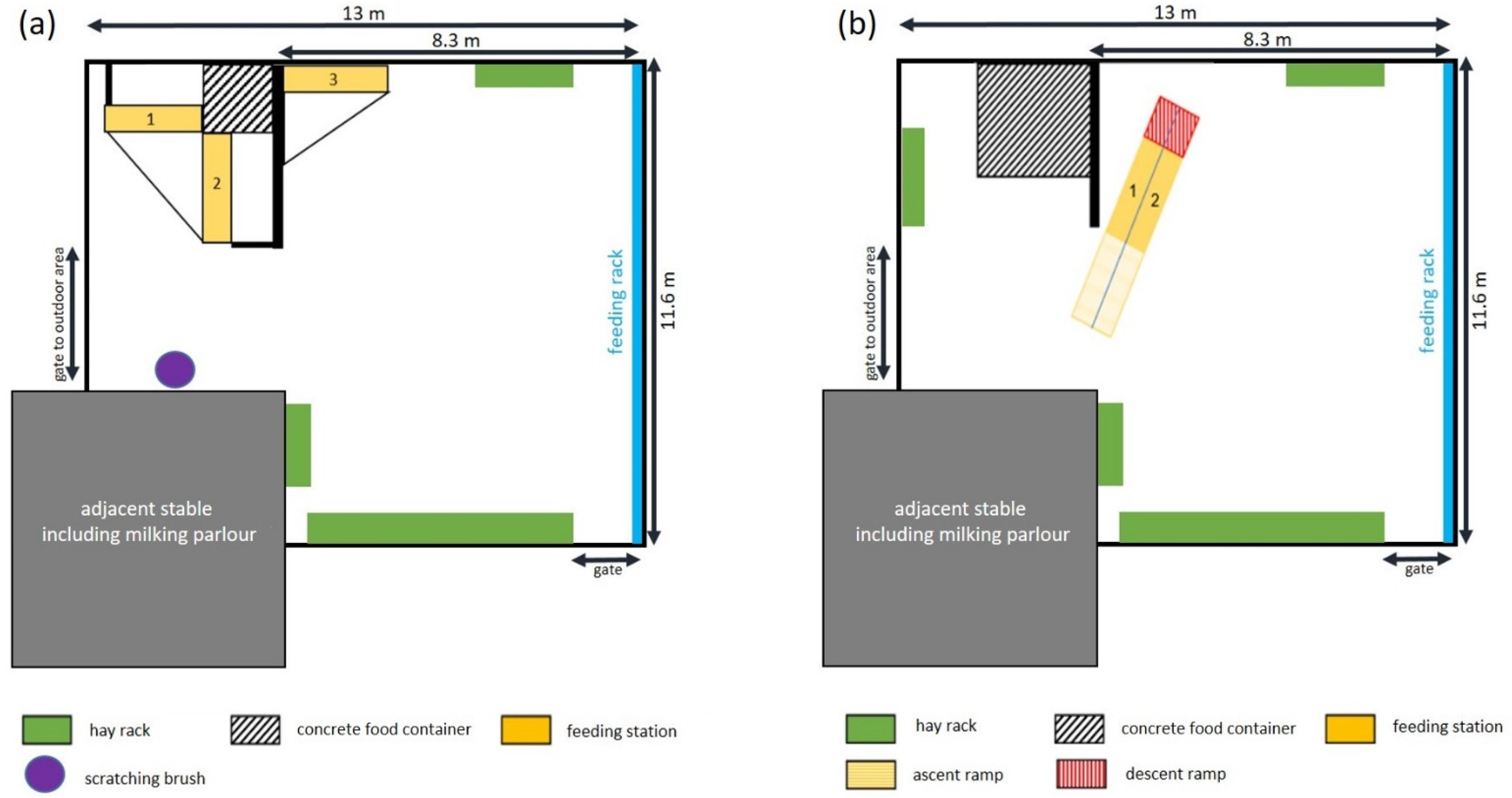 Animals 11 02370 g001