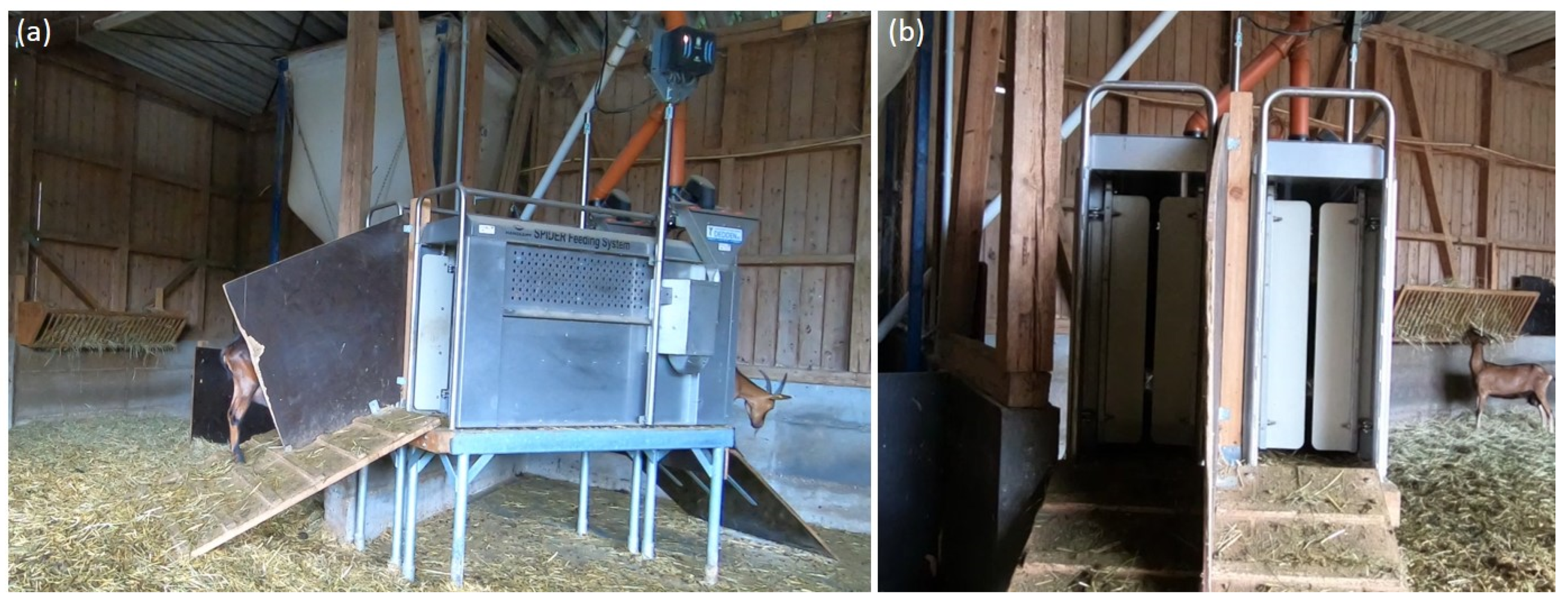 Animals 11 02370 g002