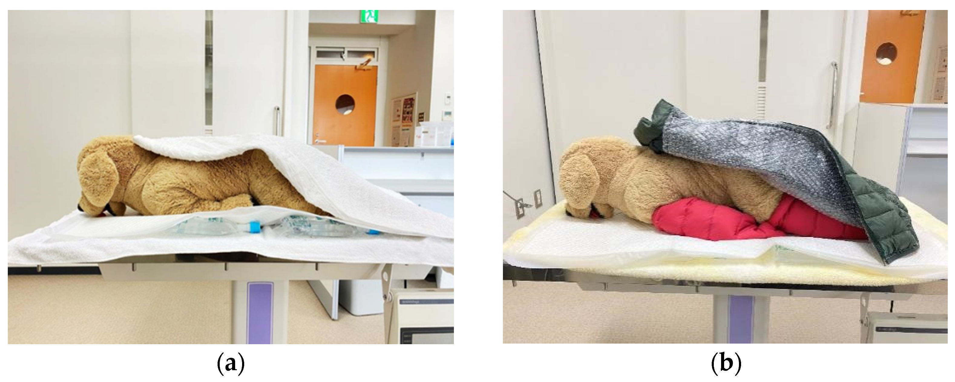 Animals 11 02378 g002 550