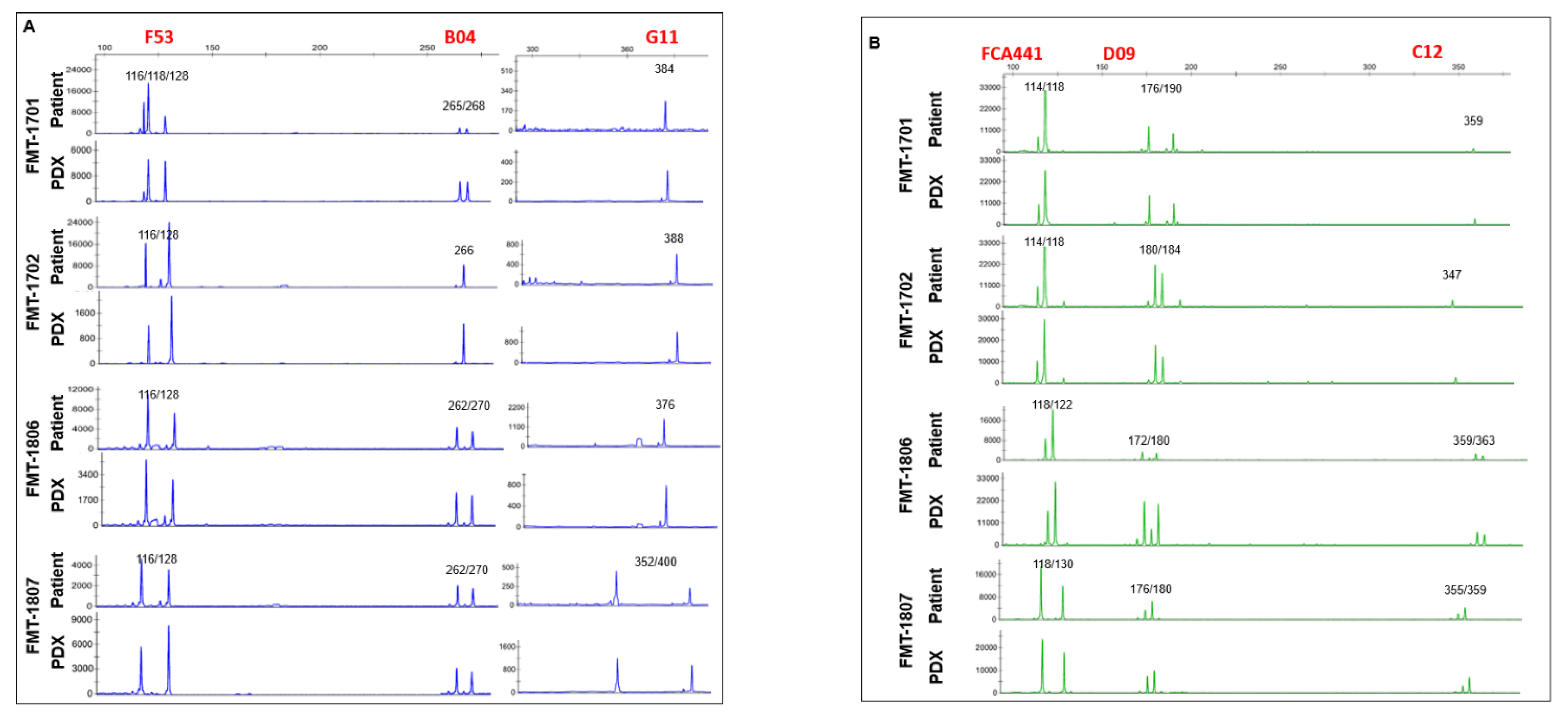 Animals 11 02380 g003a Animals 11 02380 g003a