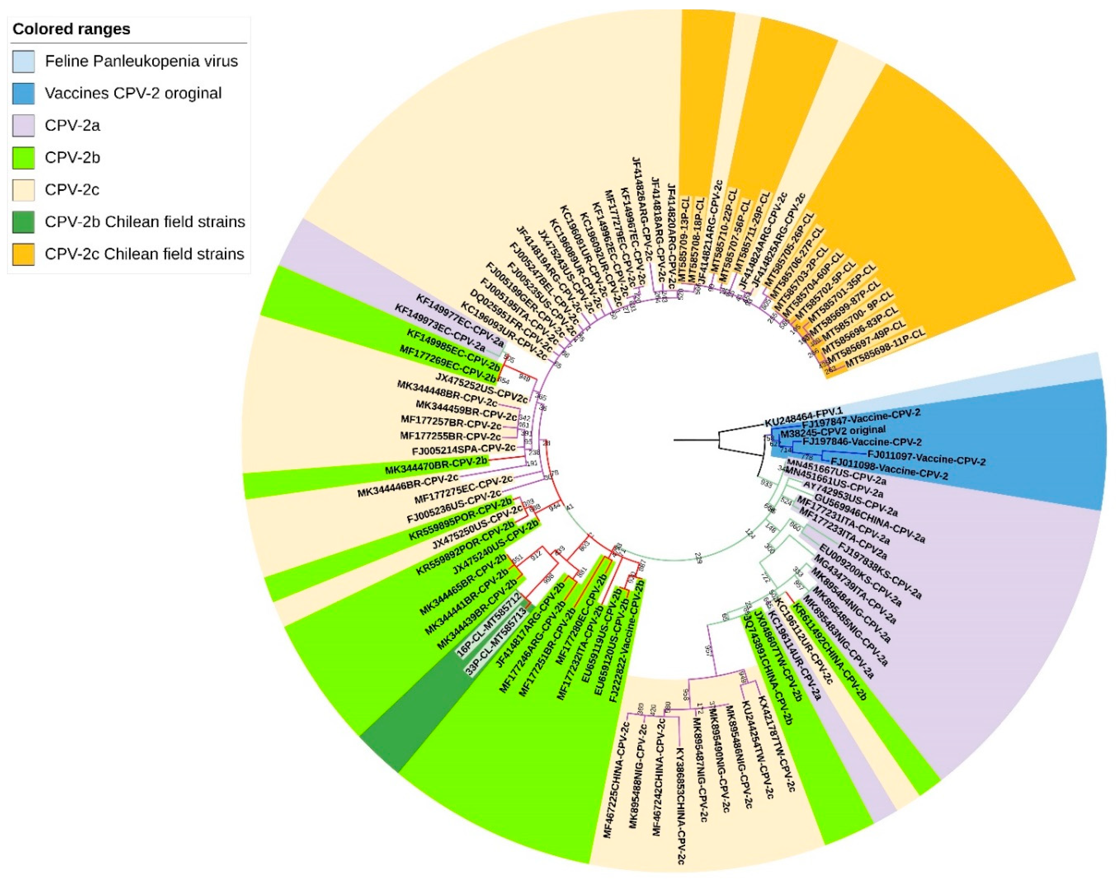 Animals 11 02387 g001