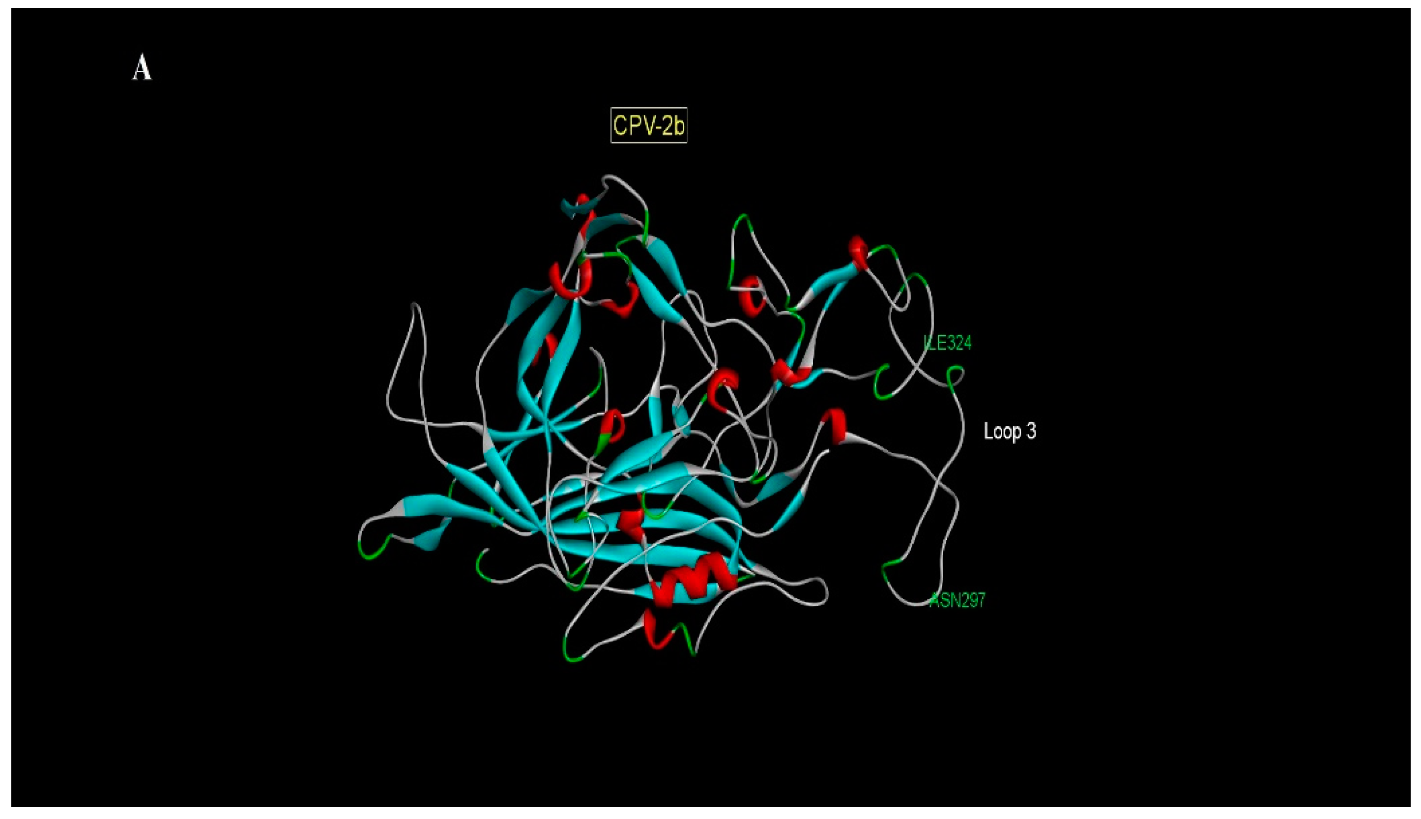 Animals 11 02387 g002a