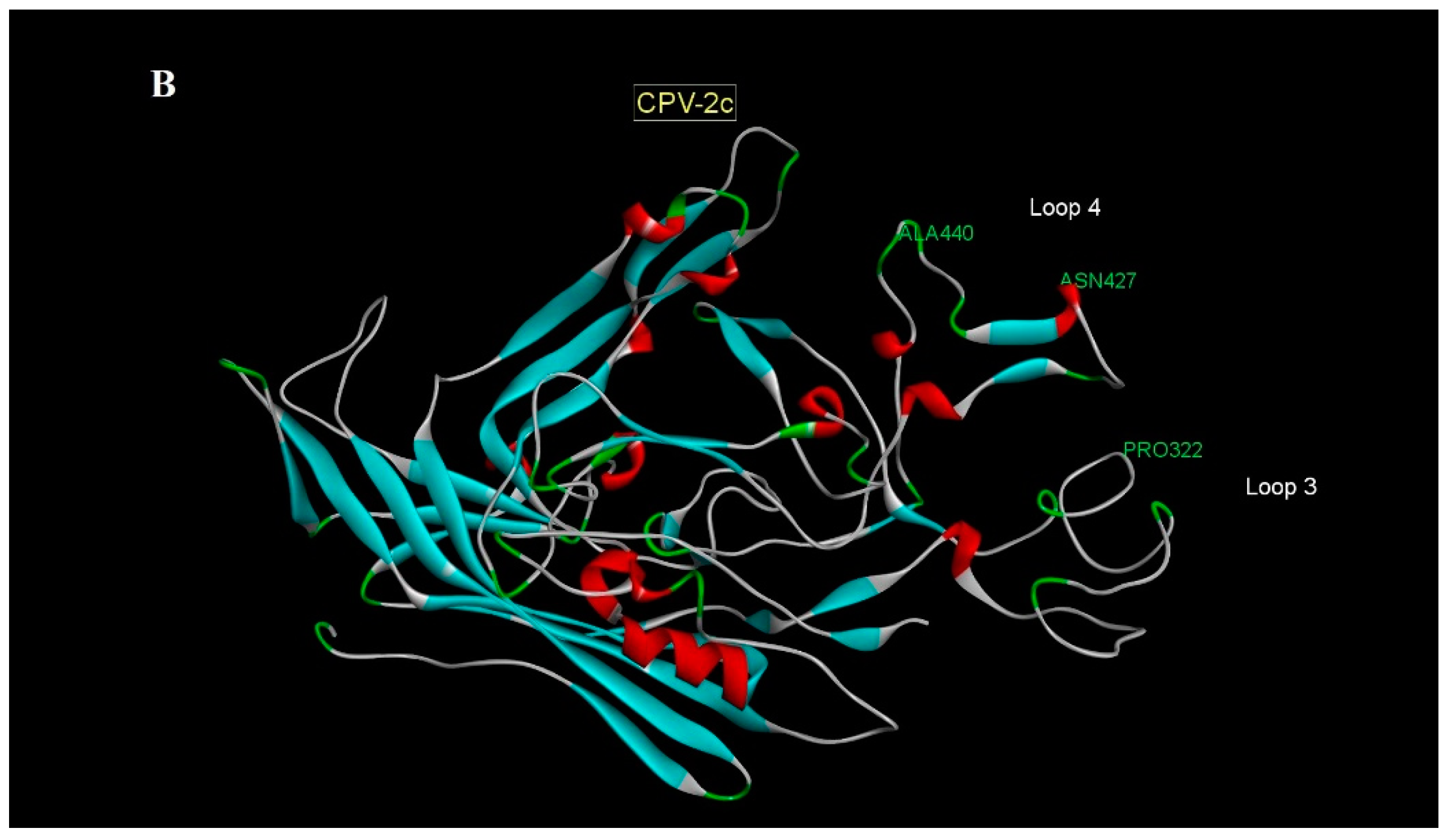 Animals 11 02387 g002b