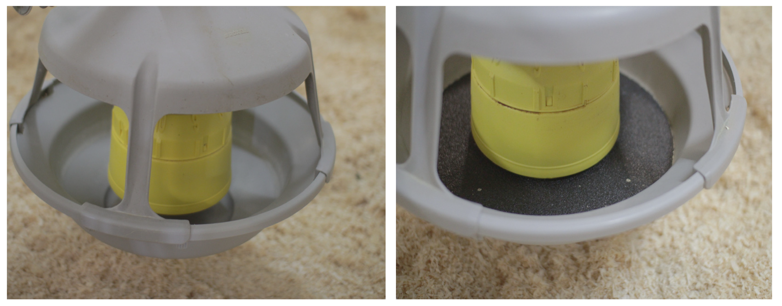 Animals 11 02395 g002