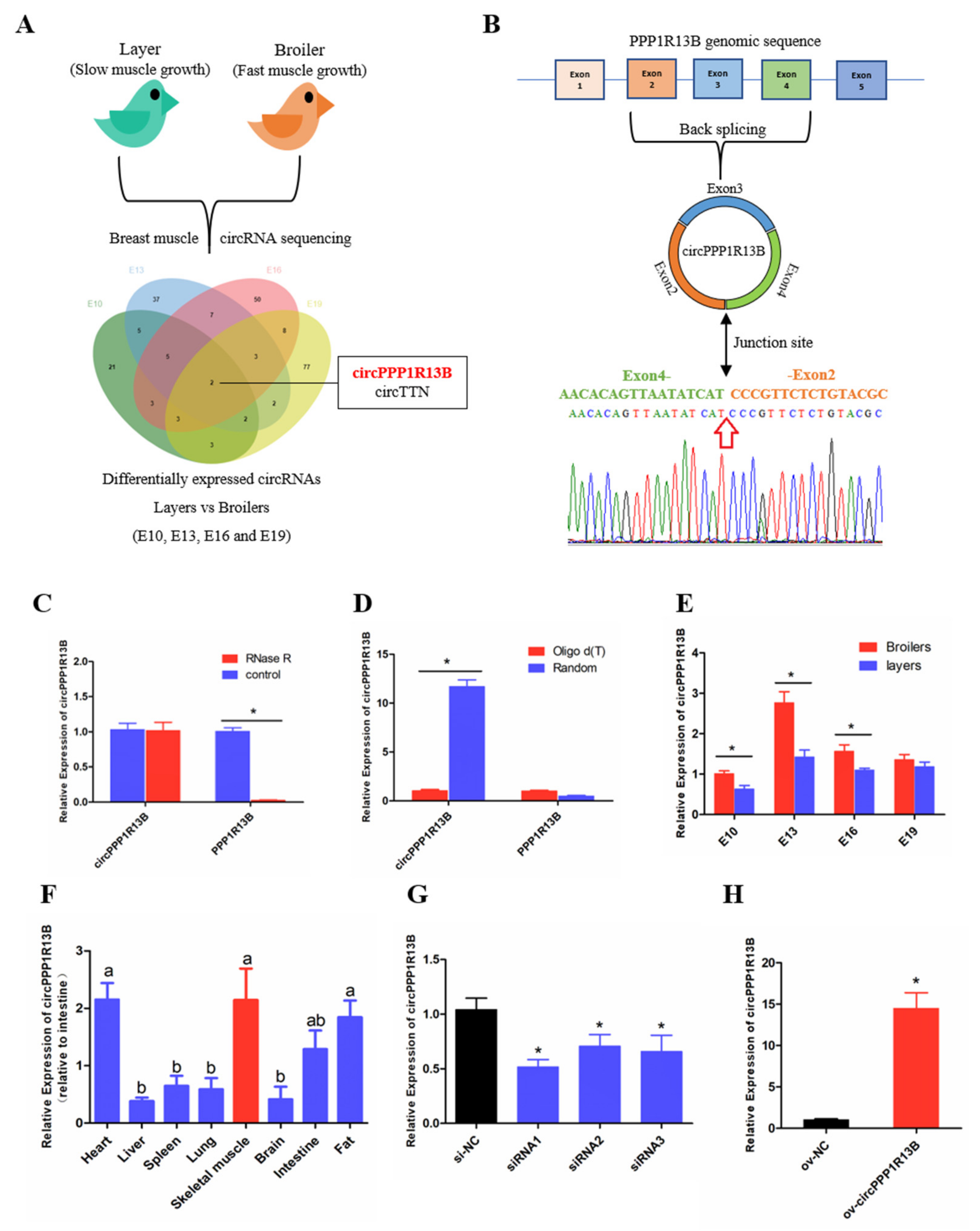 Animals 11 02396 g001 550