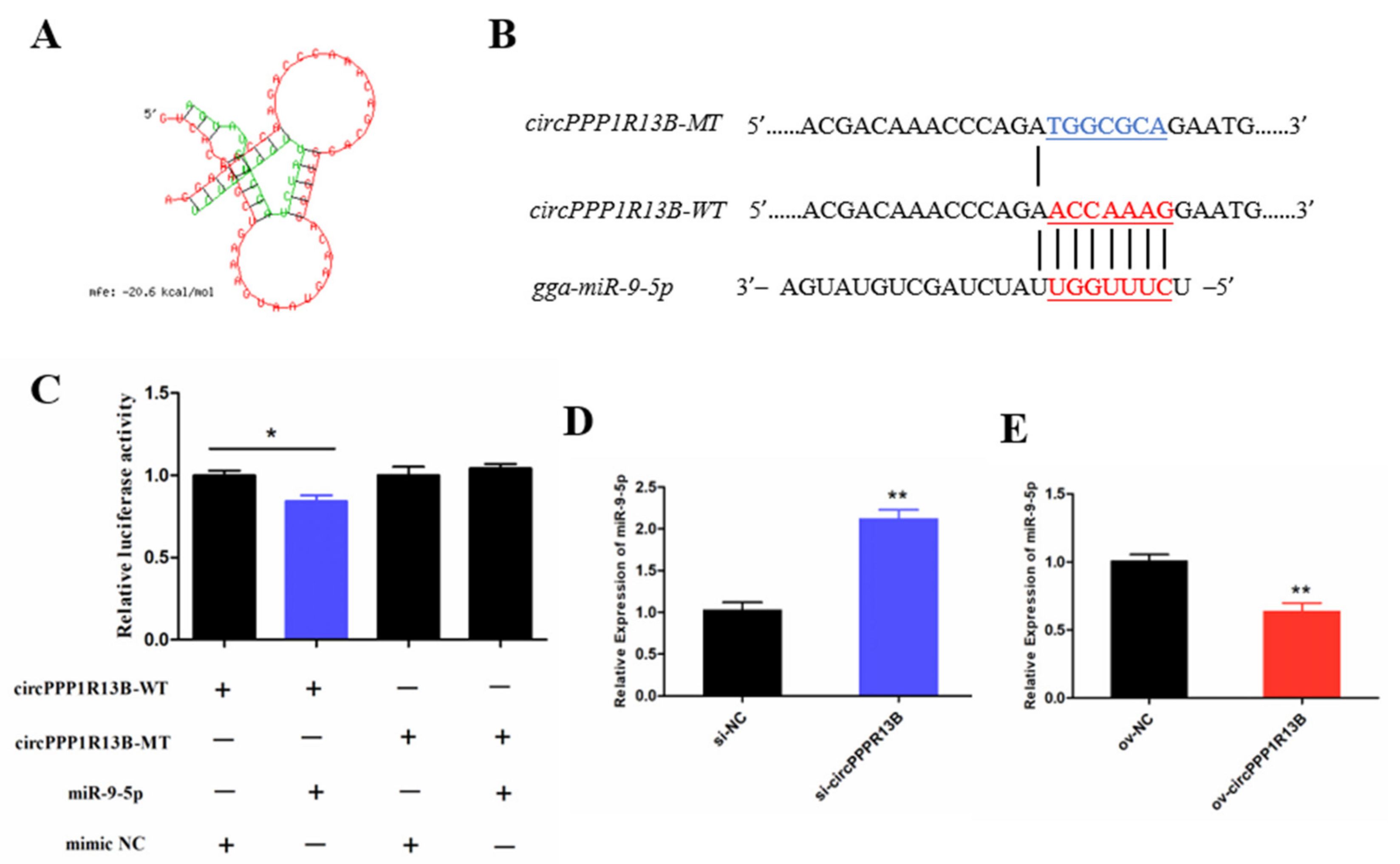 Animals 11 02396 g002 550