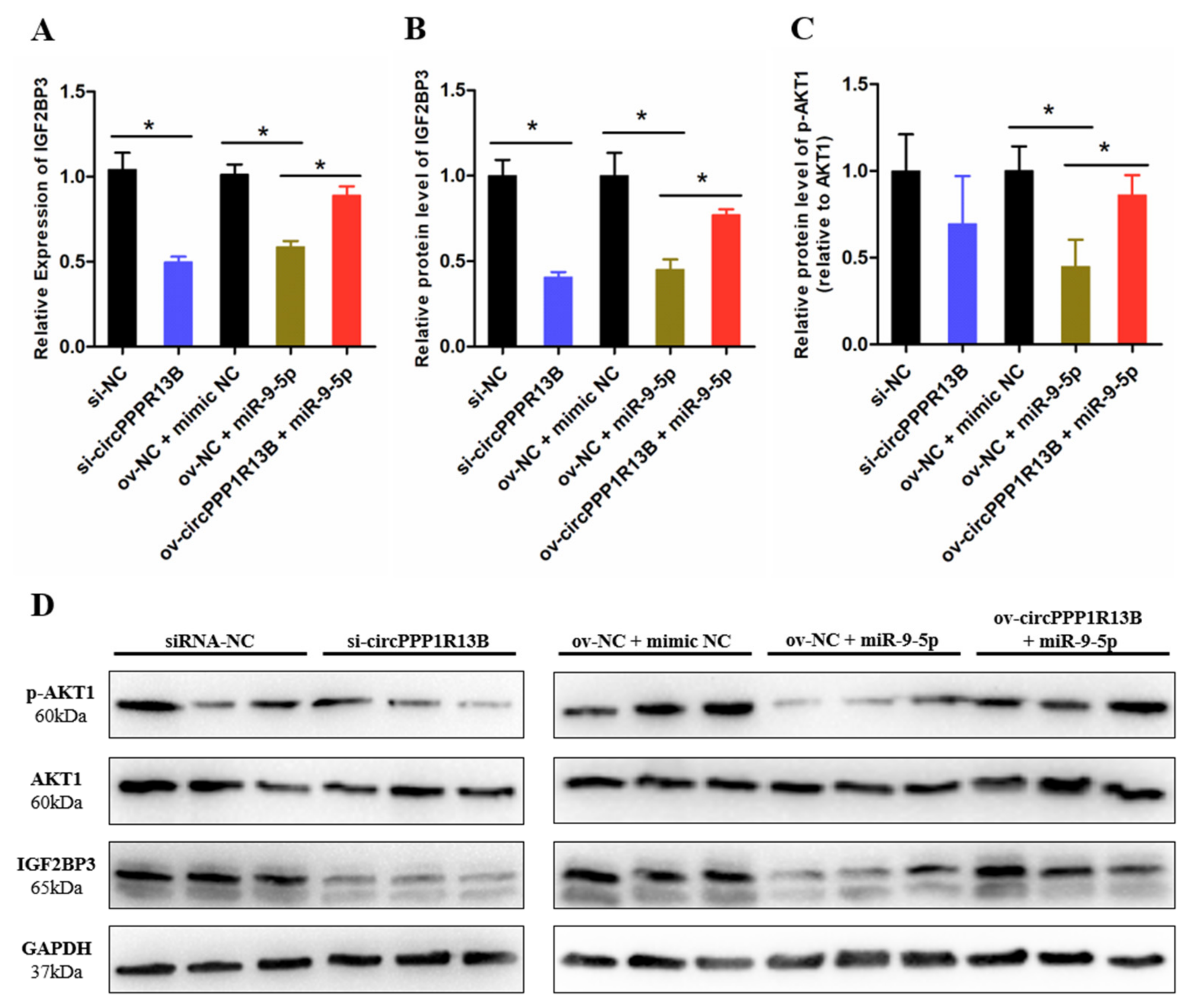 Animals 11 02396 g003 550