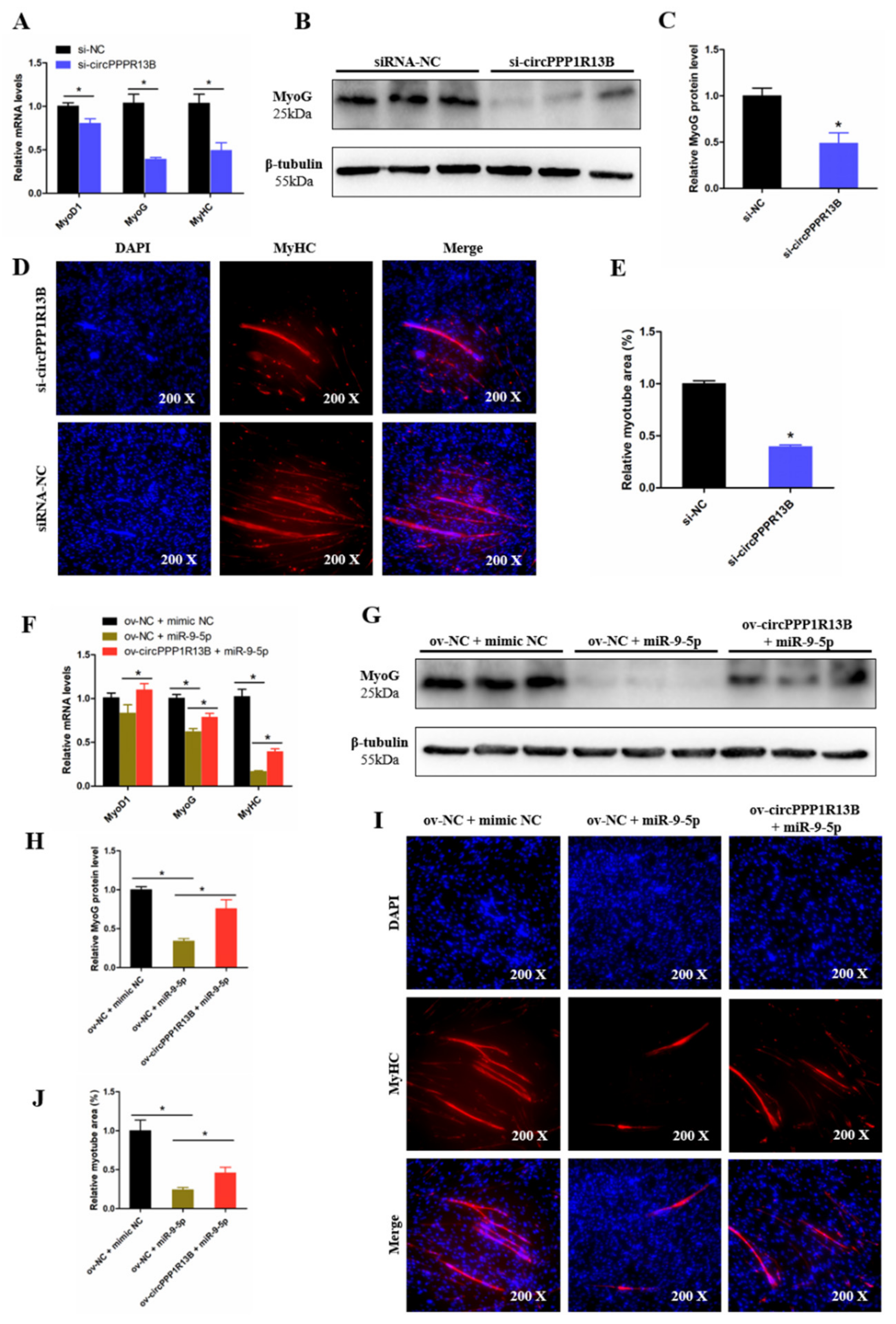 Animals 11 02396 g005 550