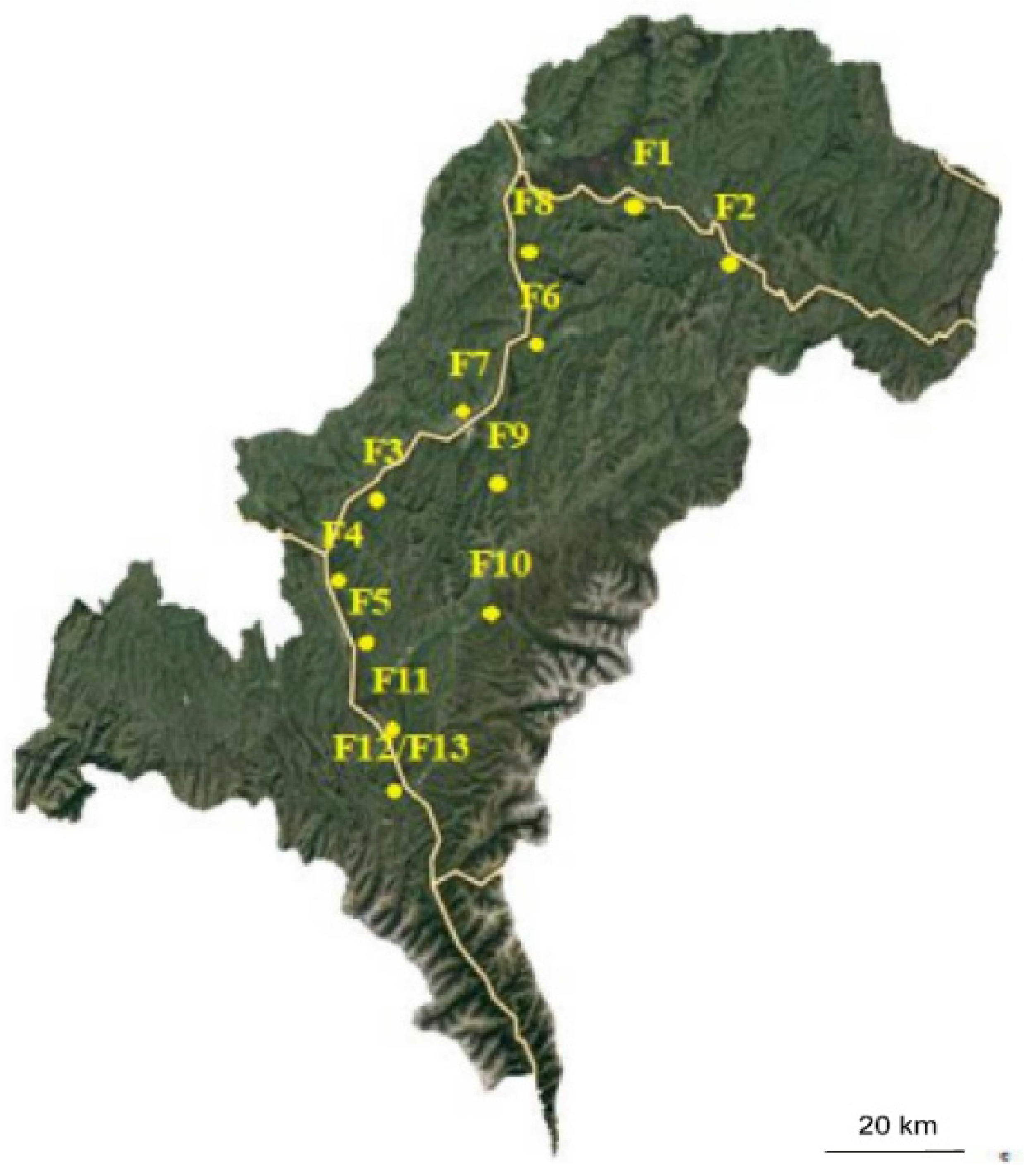 Animals 11 02397 g001 Animals 11 02397 g001