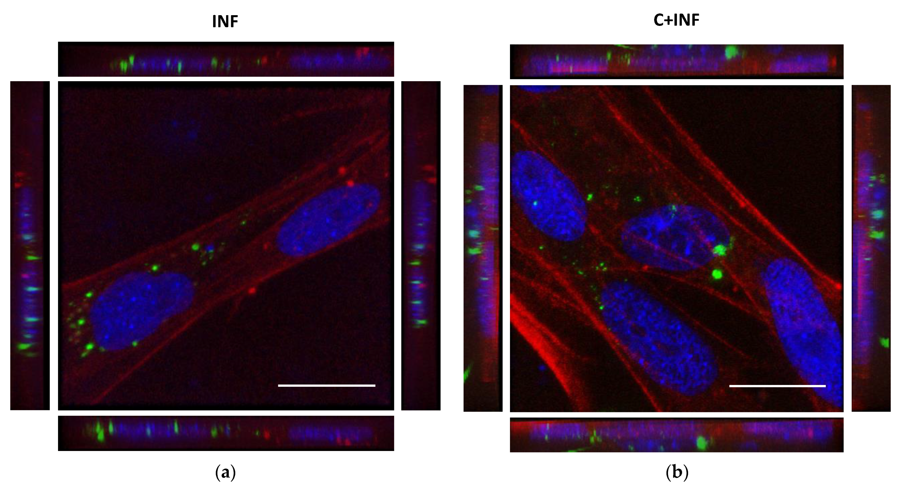 Animals 11 02399 g001 Animals 11 02399 g001