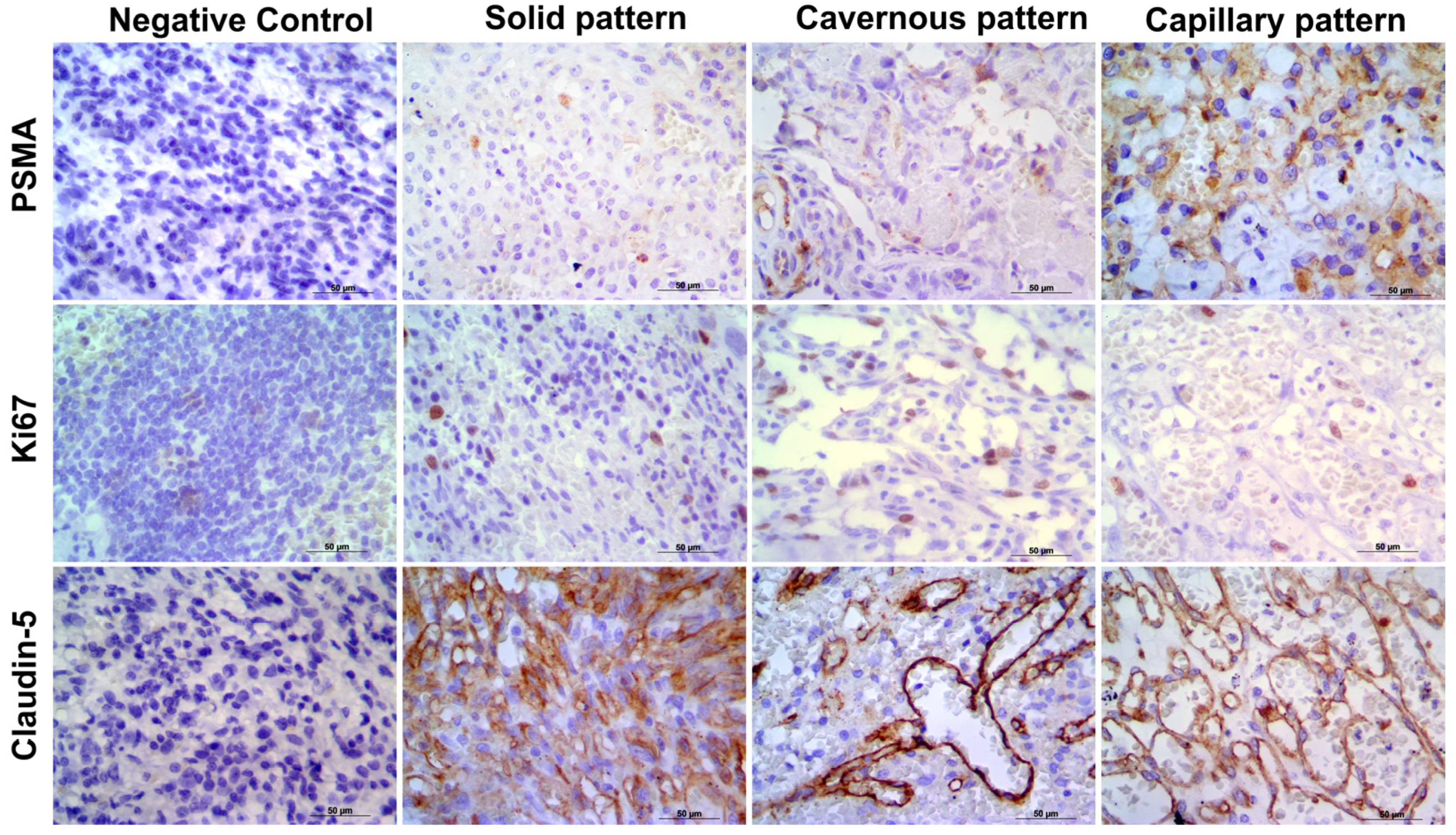 Animals 11 02406 g004