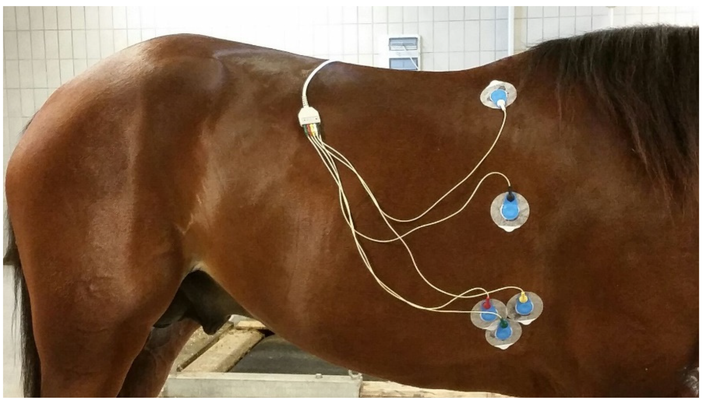 Animals 11 02413 g001 Animals 11 02413 g001