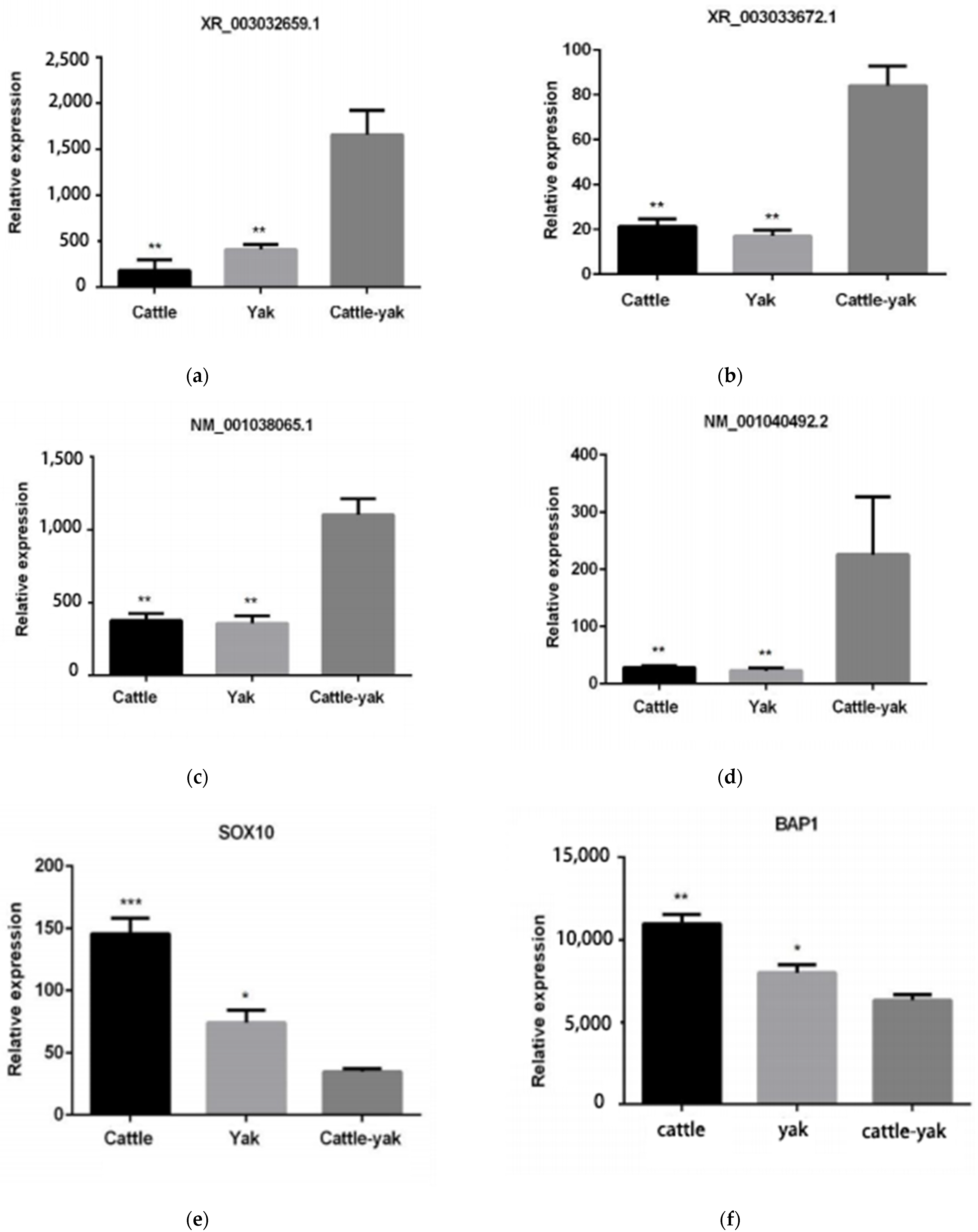 Animals 11 02420 g007 550