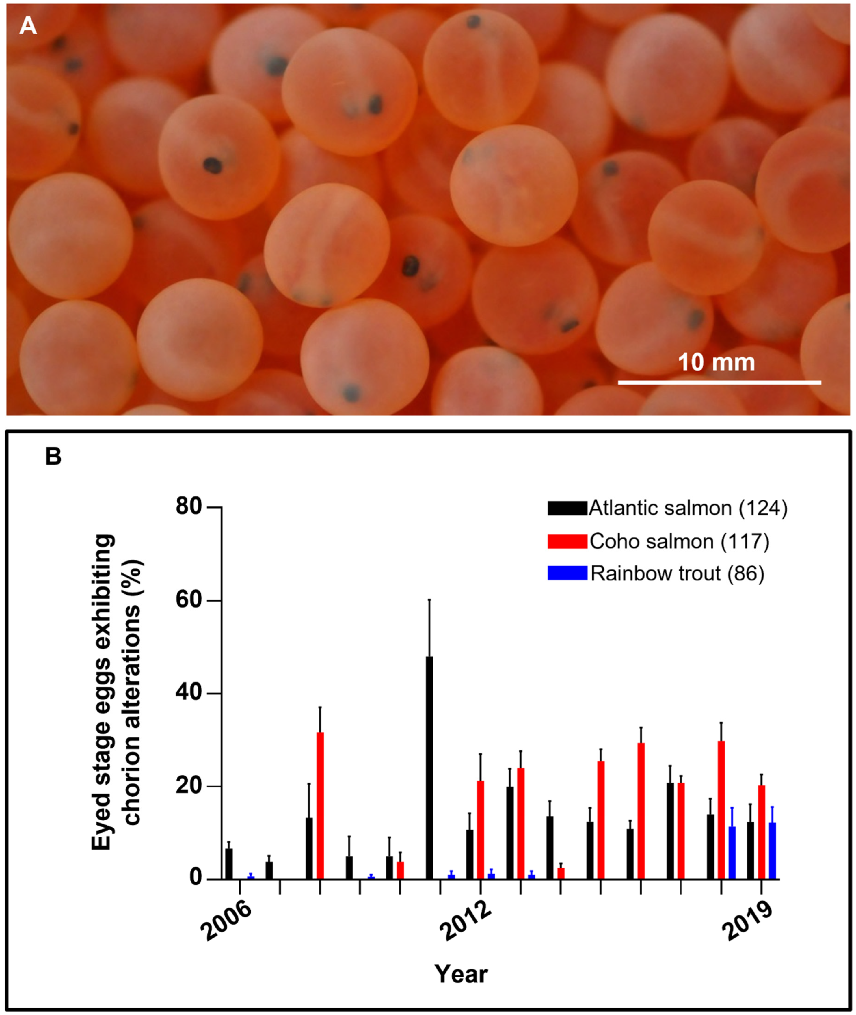 Animals 11 02427 g001