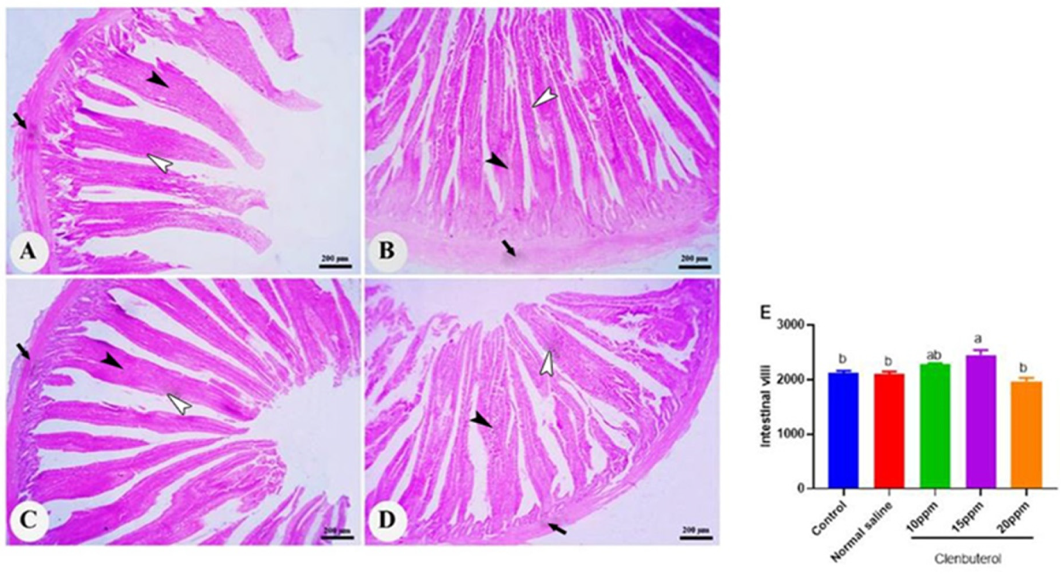 Animals 11 02429 g003 Animals 11 02429 g003