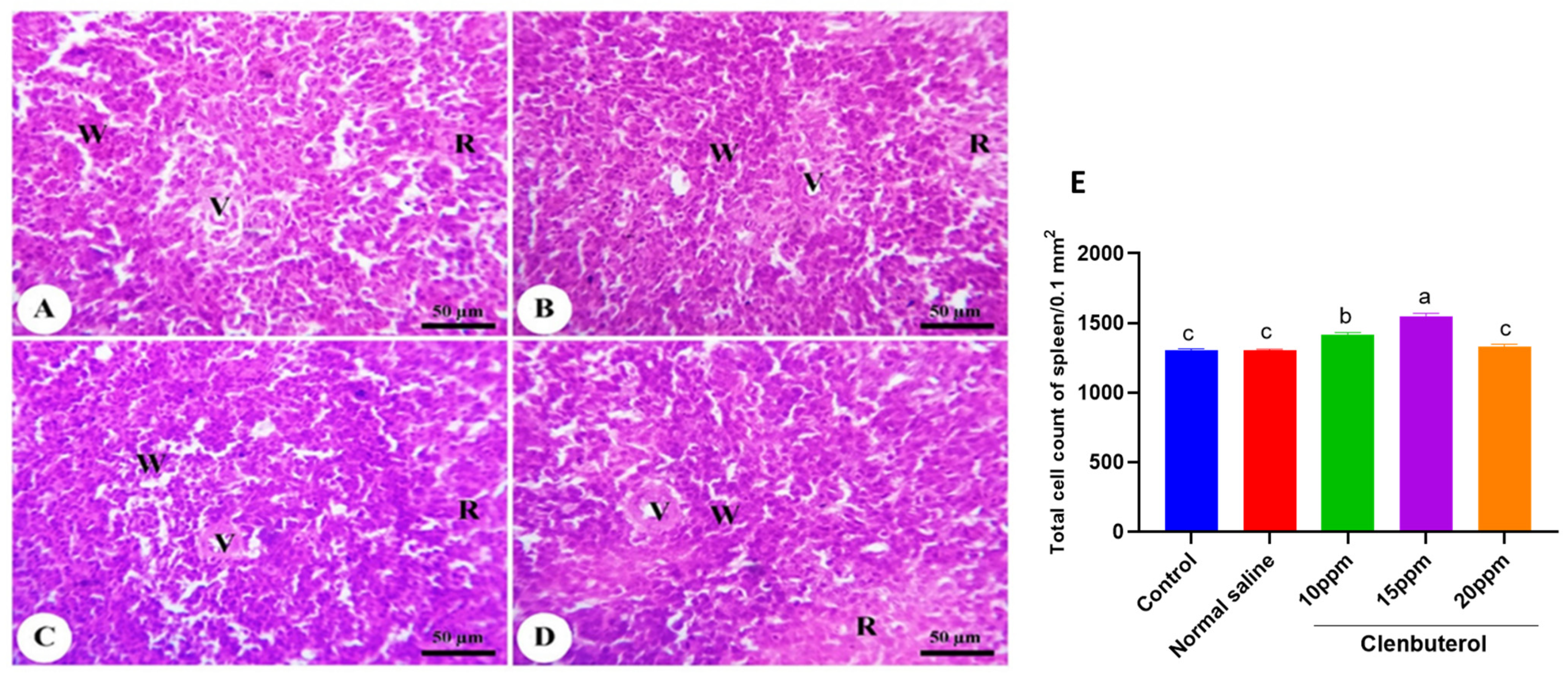 Animals 11 02429 g004 Animals 11 02429 g004