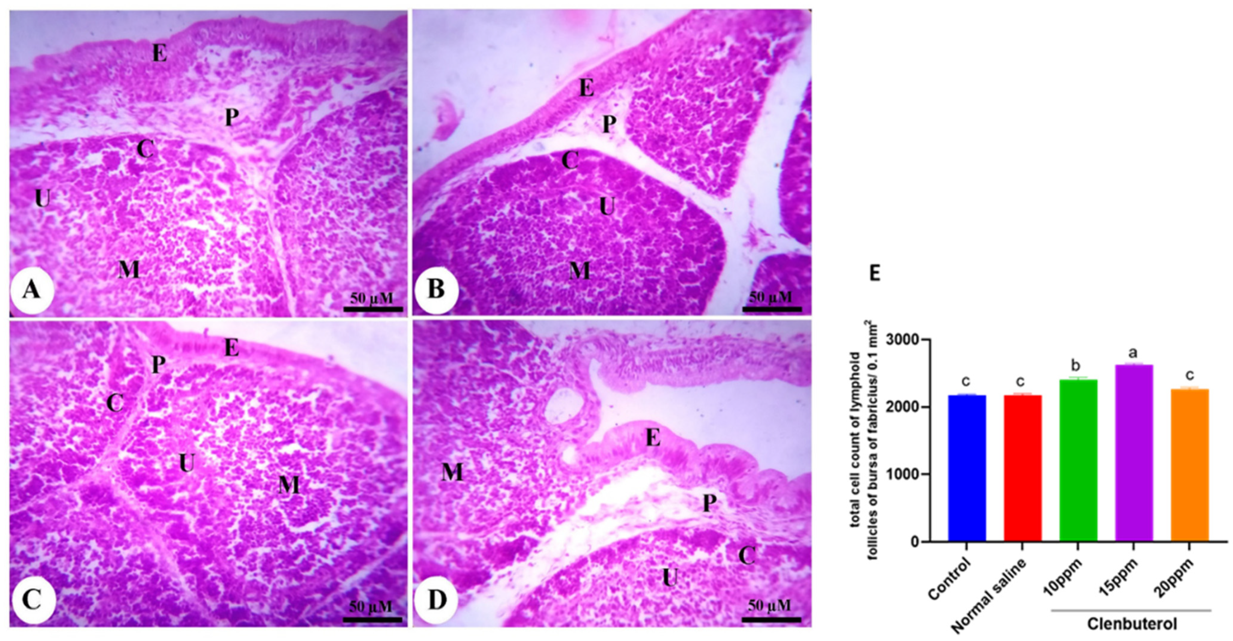 Animals Free Full Text Insight View On The Role Of In Ovo Feeding Of Clenbuterol On Hatched Chicks Hatchability Growth Efficiency Serum Metabolic Profile Muscle And Lipid Related Markers Html