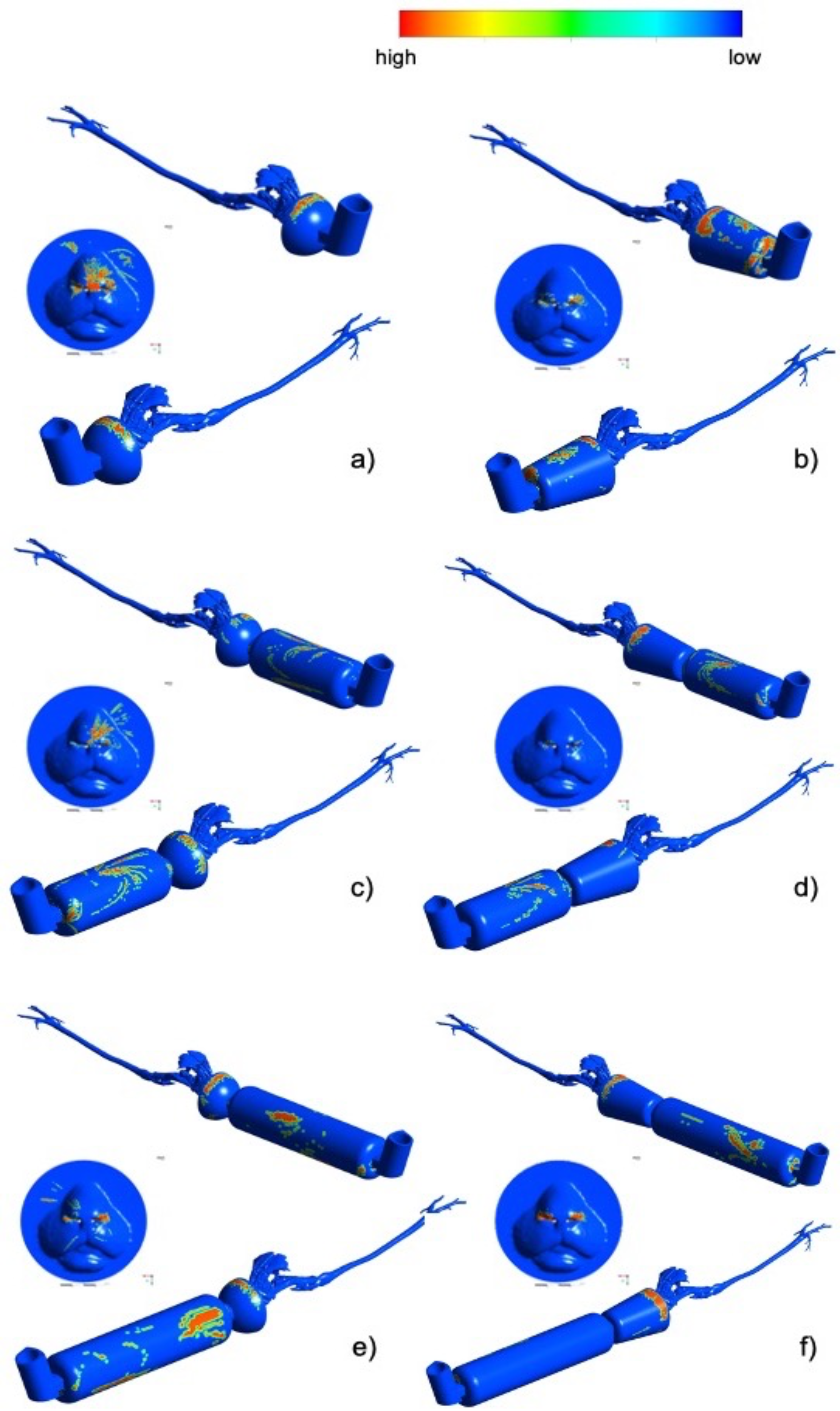 Animals 11 02431 g007