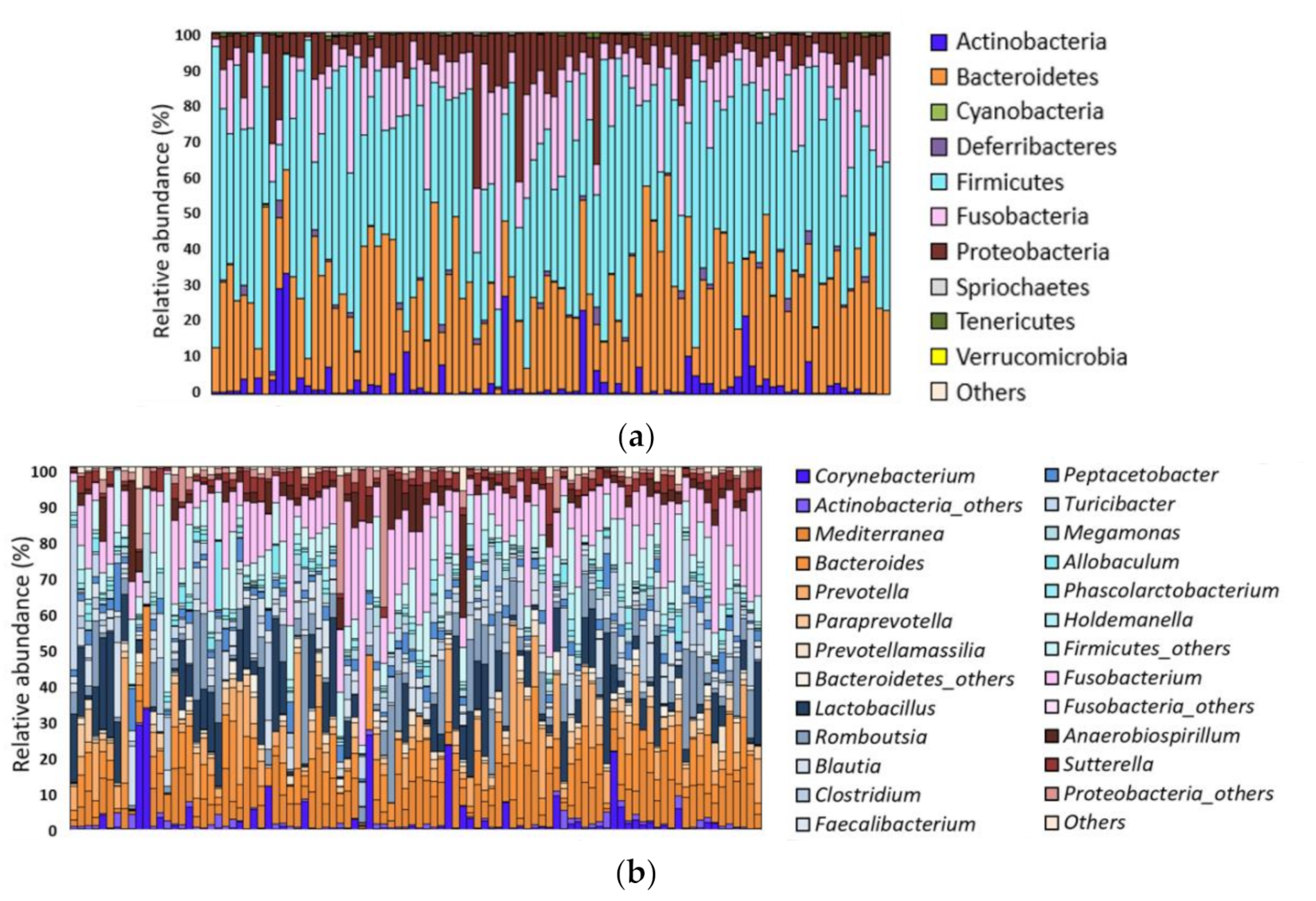 Animals 11 02432 g001
