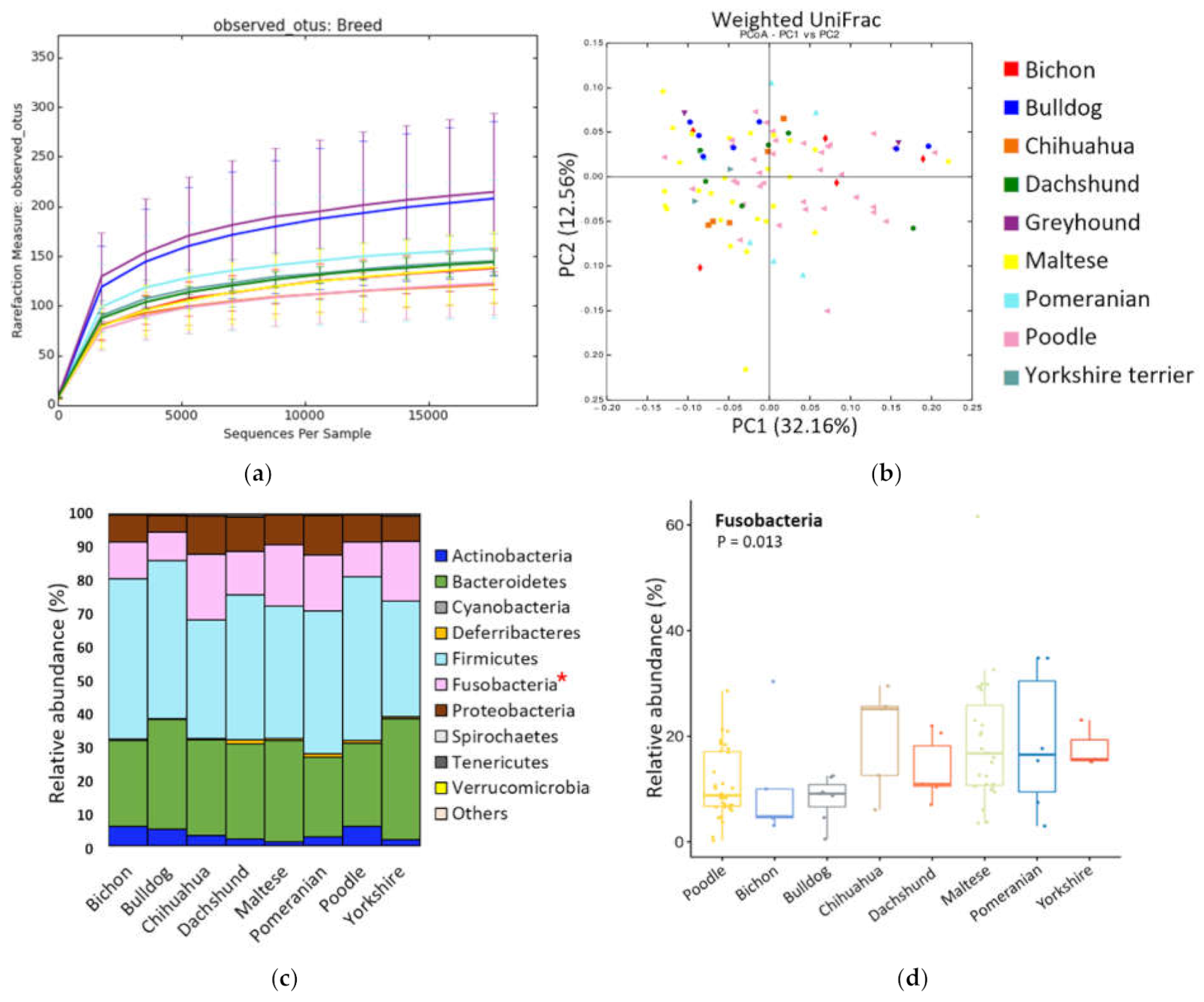Animals 11 02432 g002