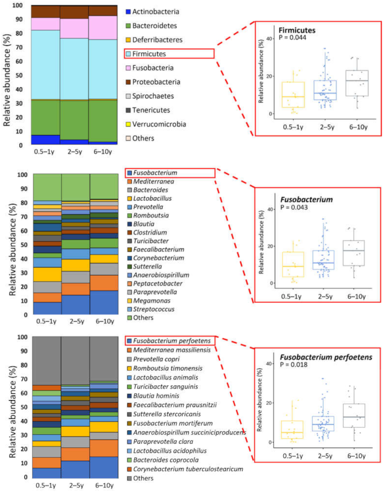 Animals 11 02432 g004