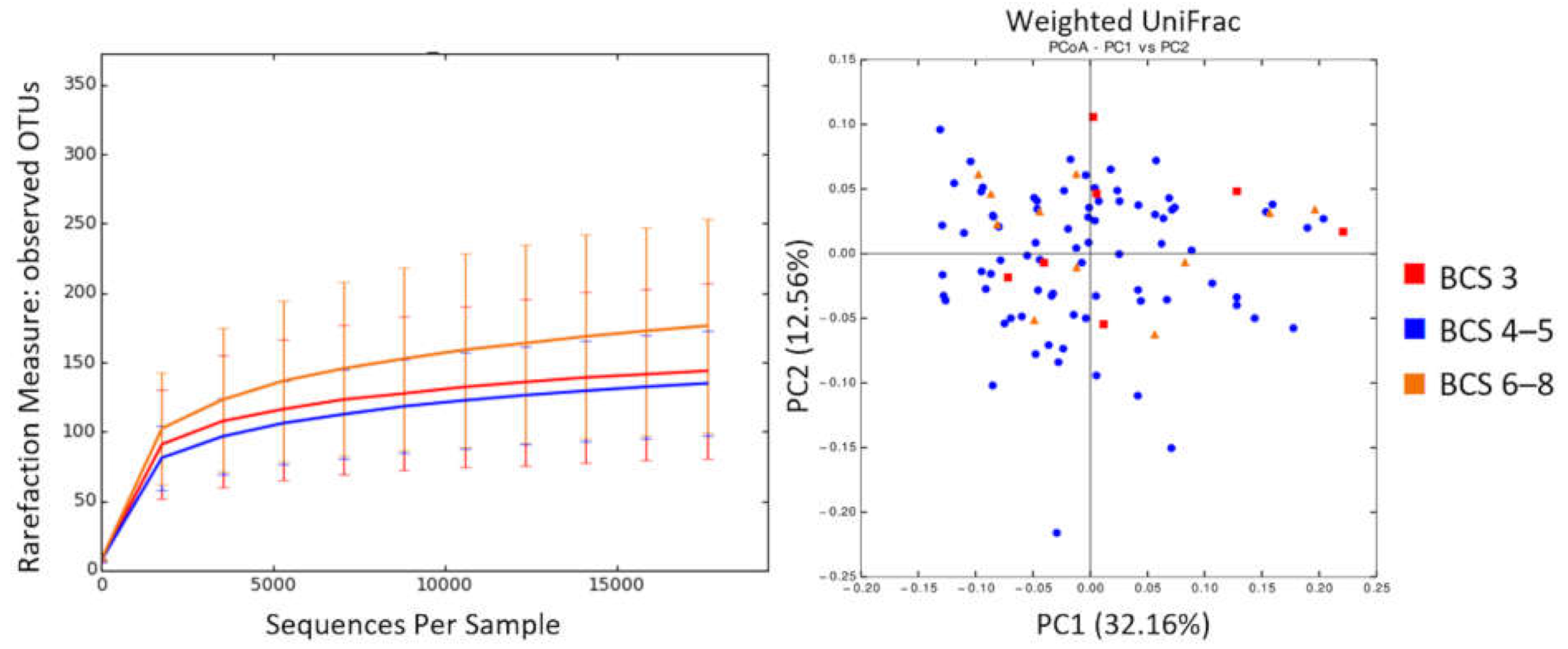 Animals 11 02432 g006