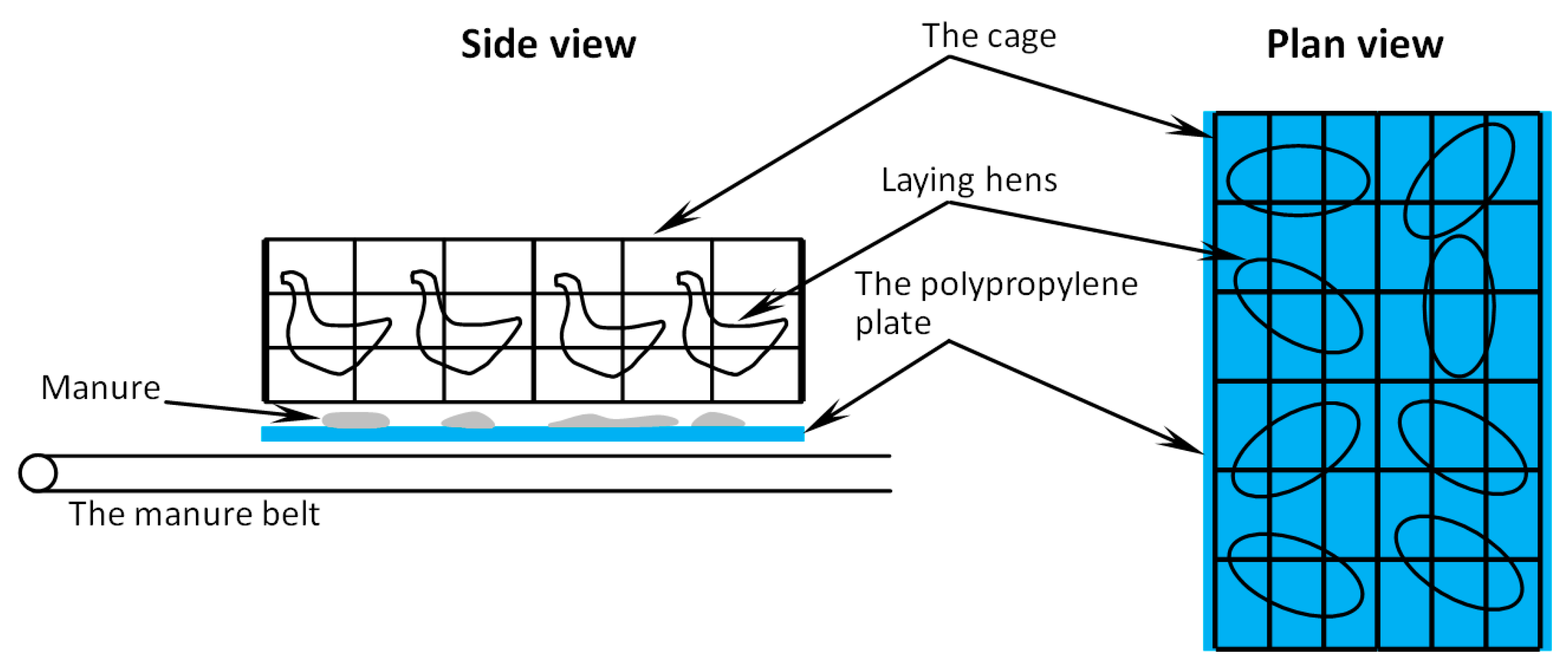 Animals 11 02433 g001 Animals 11 02433 g001